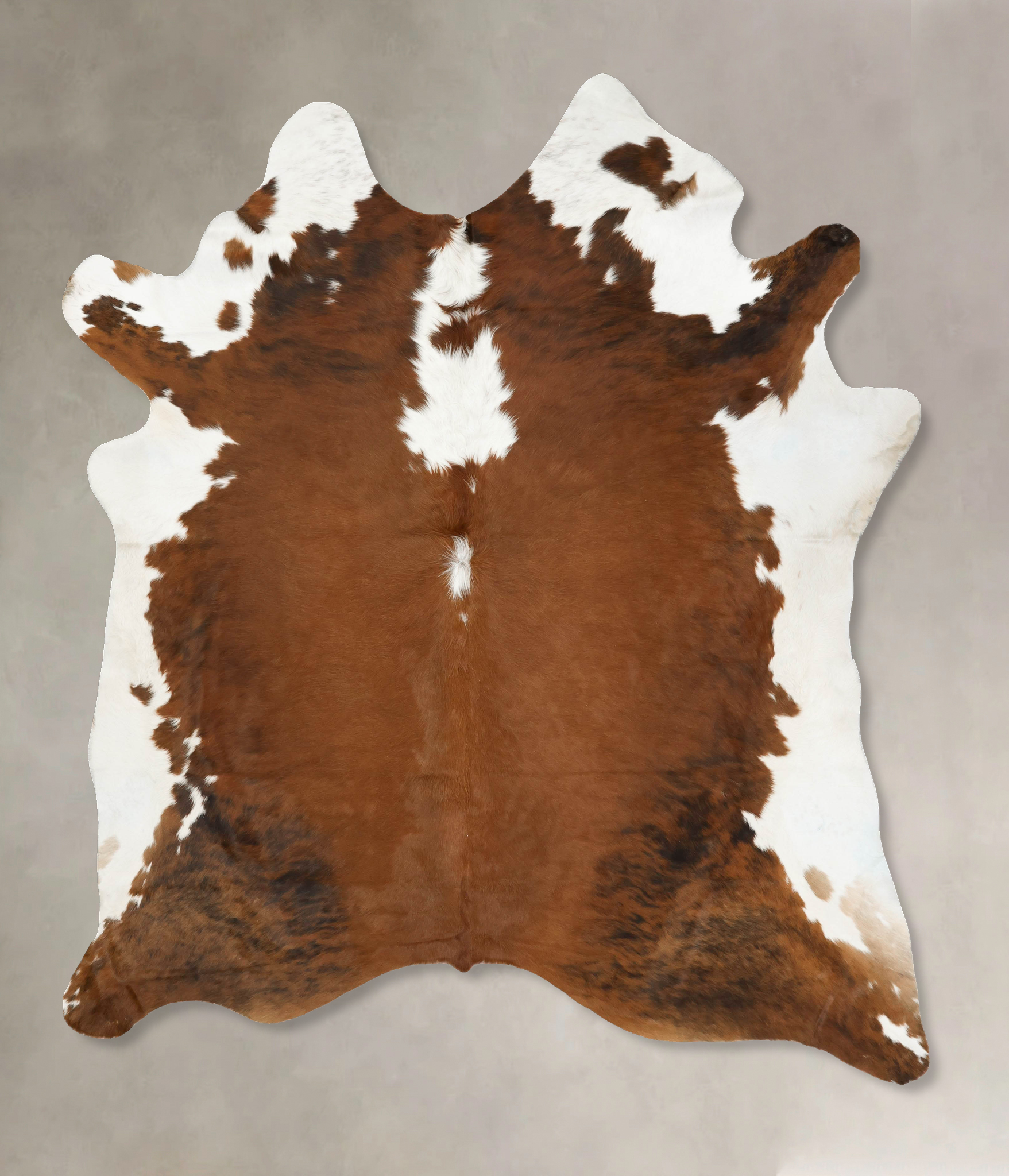 Tricolor Cowhide Rug #B14146