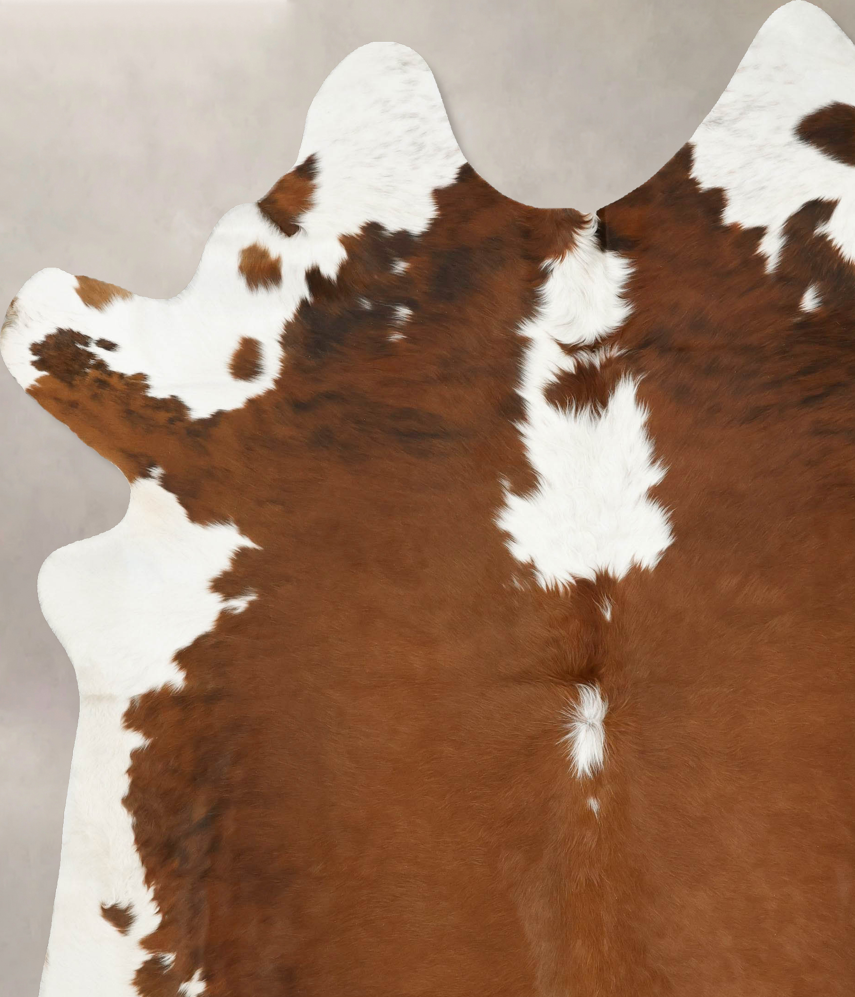 Tricolor Cowhide Rug #B14146
