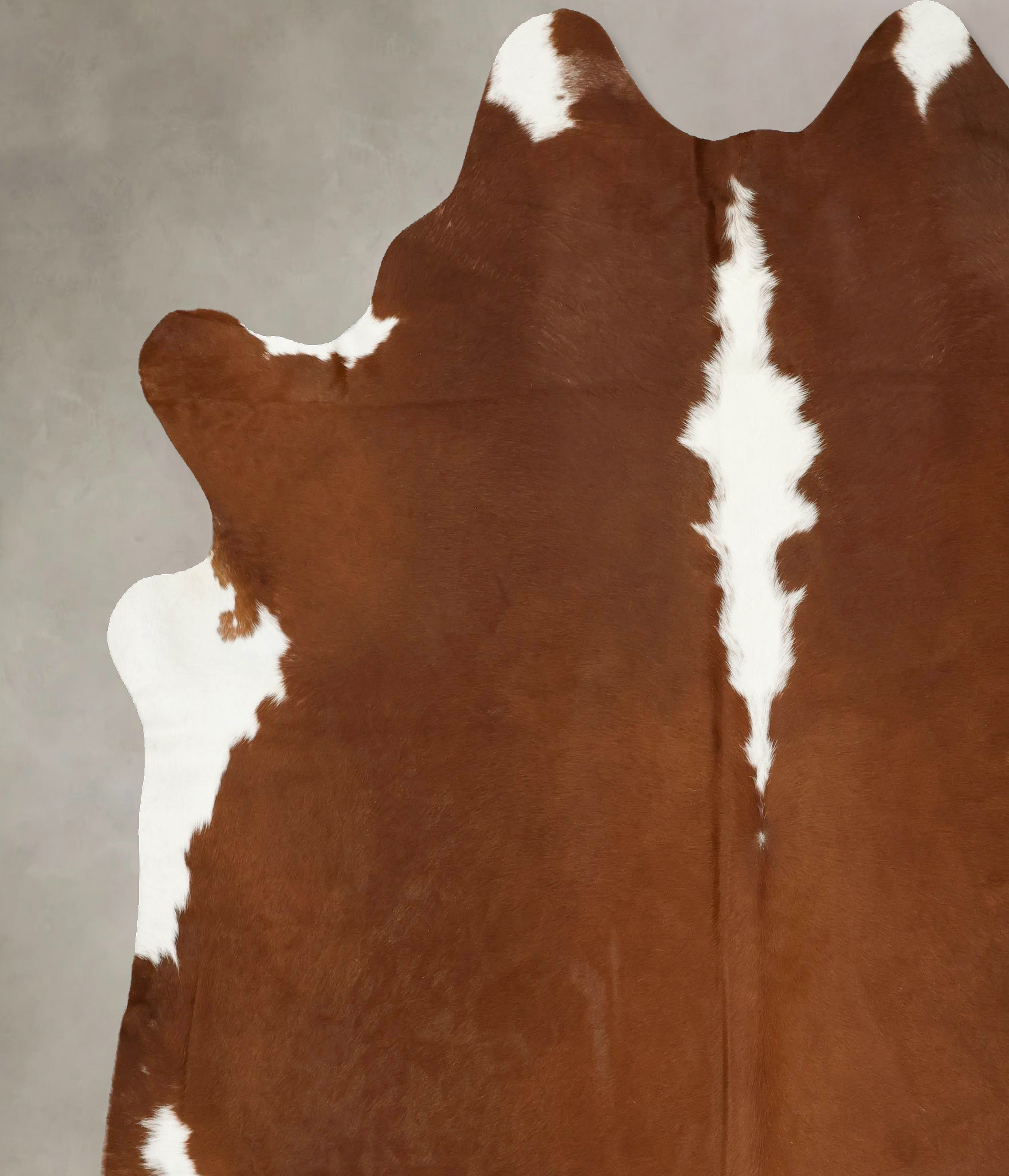Hereford Cowhide Rug #B14147