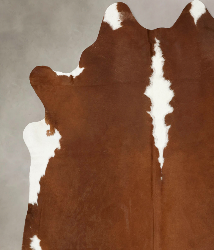 Hereford XX-Large Brazilian Cowhide Rug 8'11"H x 8'2"W #B14147 by Hudson Hides