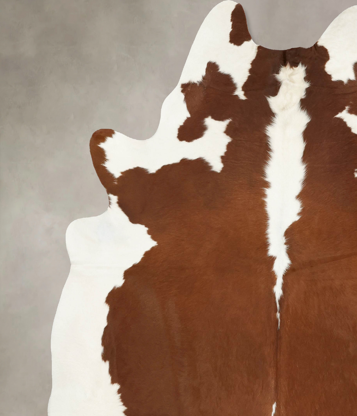 Hereford XX-Large Brazilian Cowhide Rug 8'7"H x 7'2"W #B14149 by Hudson Hides