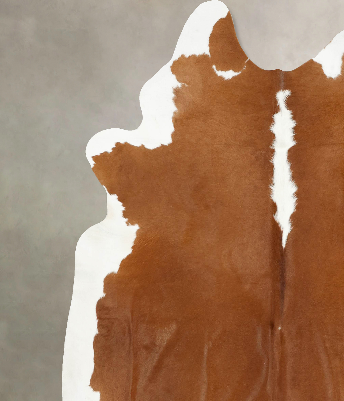 Hereford XX-Large Brazilian Cowhide Rug 8'6"H x 7'11"W #B14150 by Hudson Hides