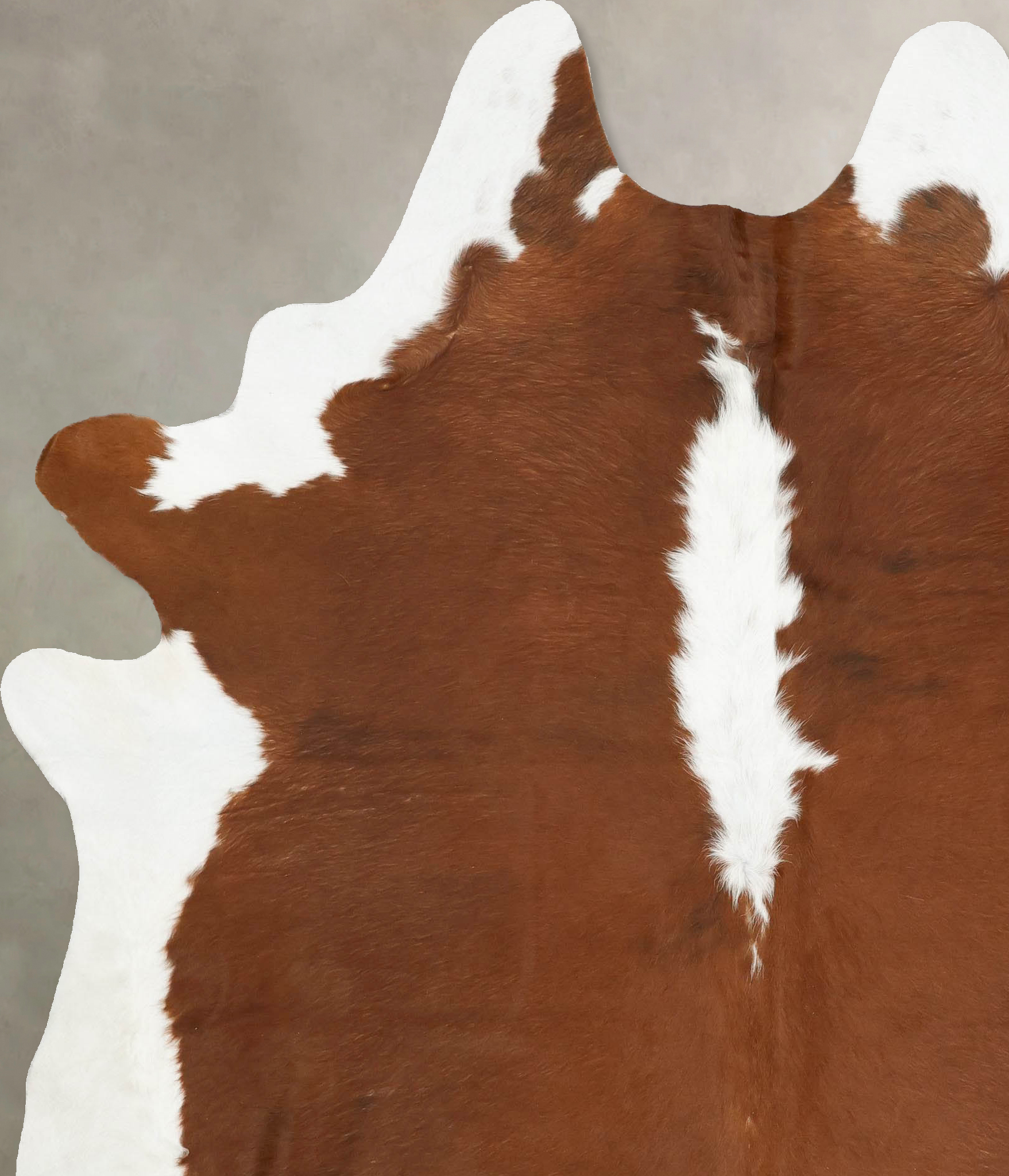Hereford Cowhide Rug #B14153