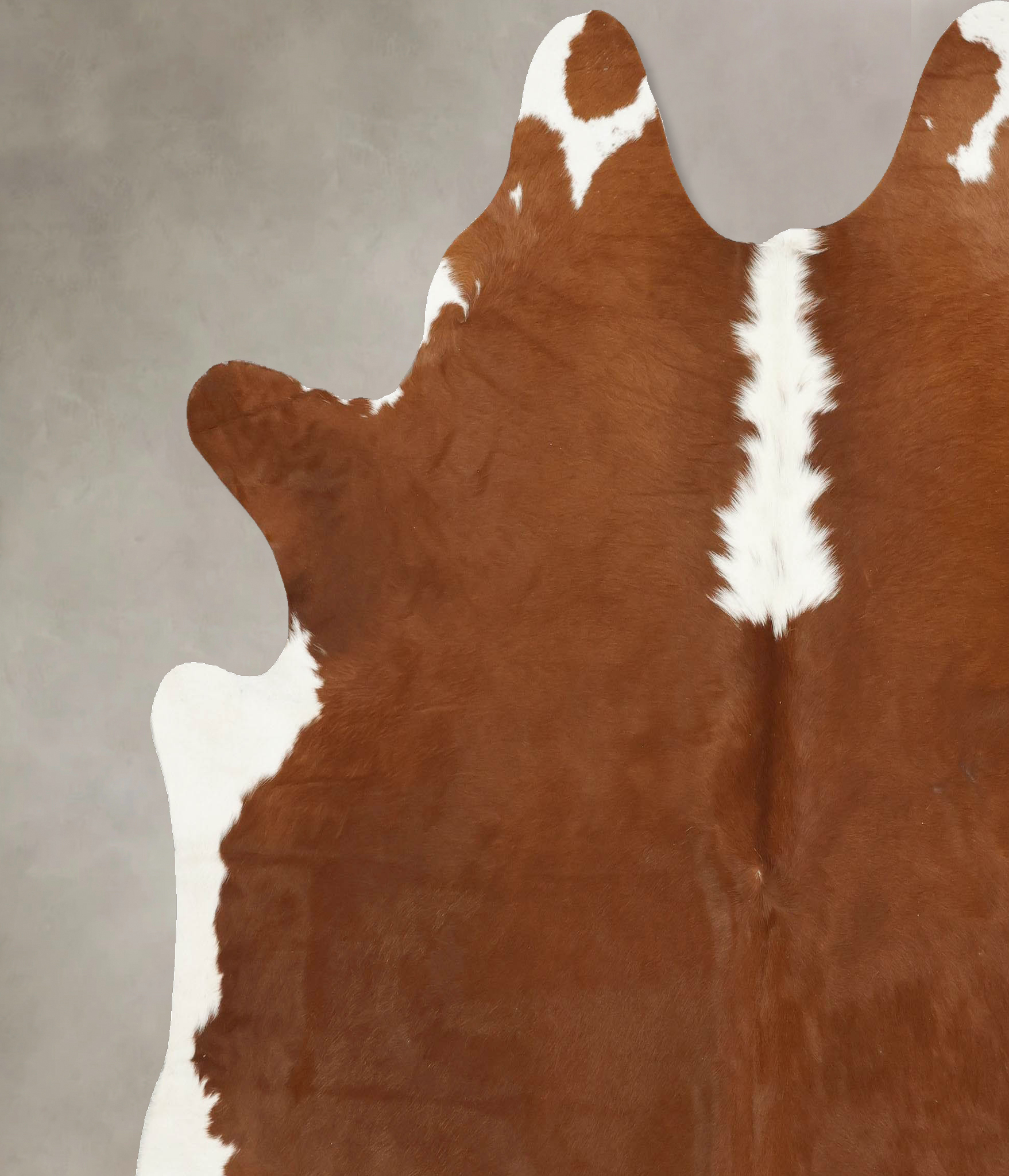 Hereford Cowhide Rug #B14154