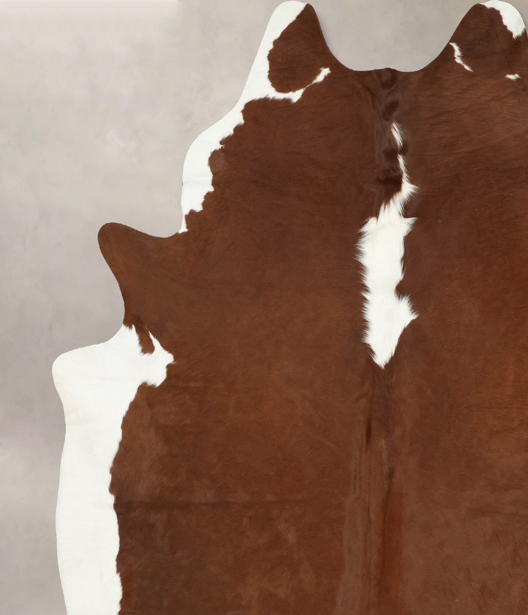 Hereford XX-Large Brazilian Cowhide Rug 9'1"H x 7'7"W #B14166 by Hudso