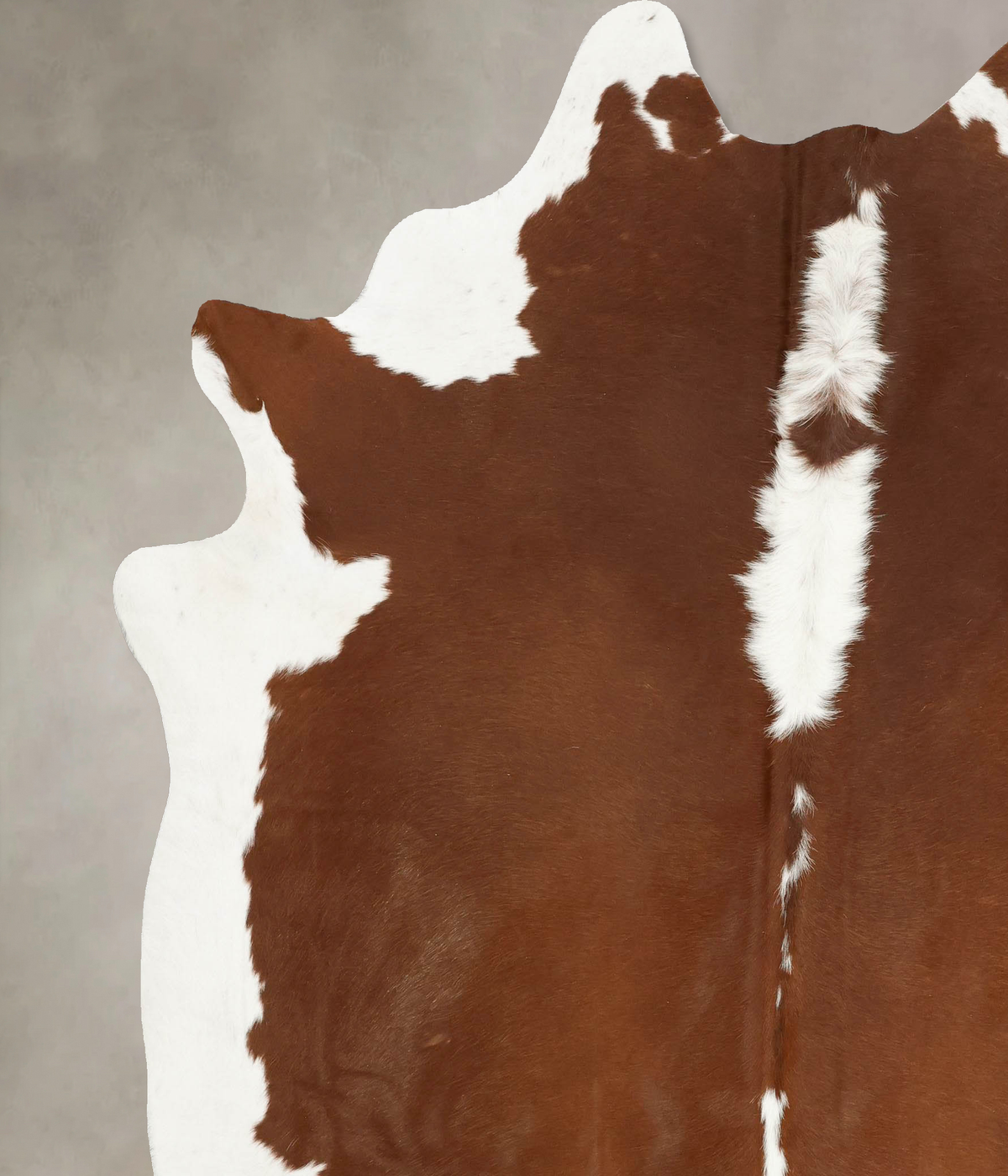 Hereford XX-Large Brazilian Cowhide Rug 8'0"H x 7'0"W #B14167 by Hudson Hides