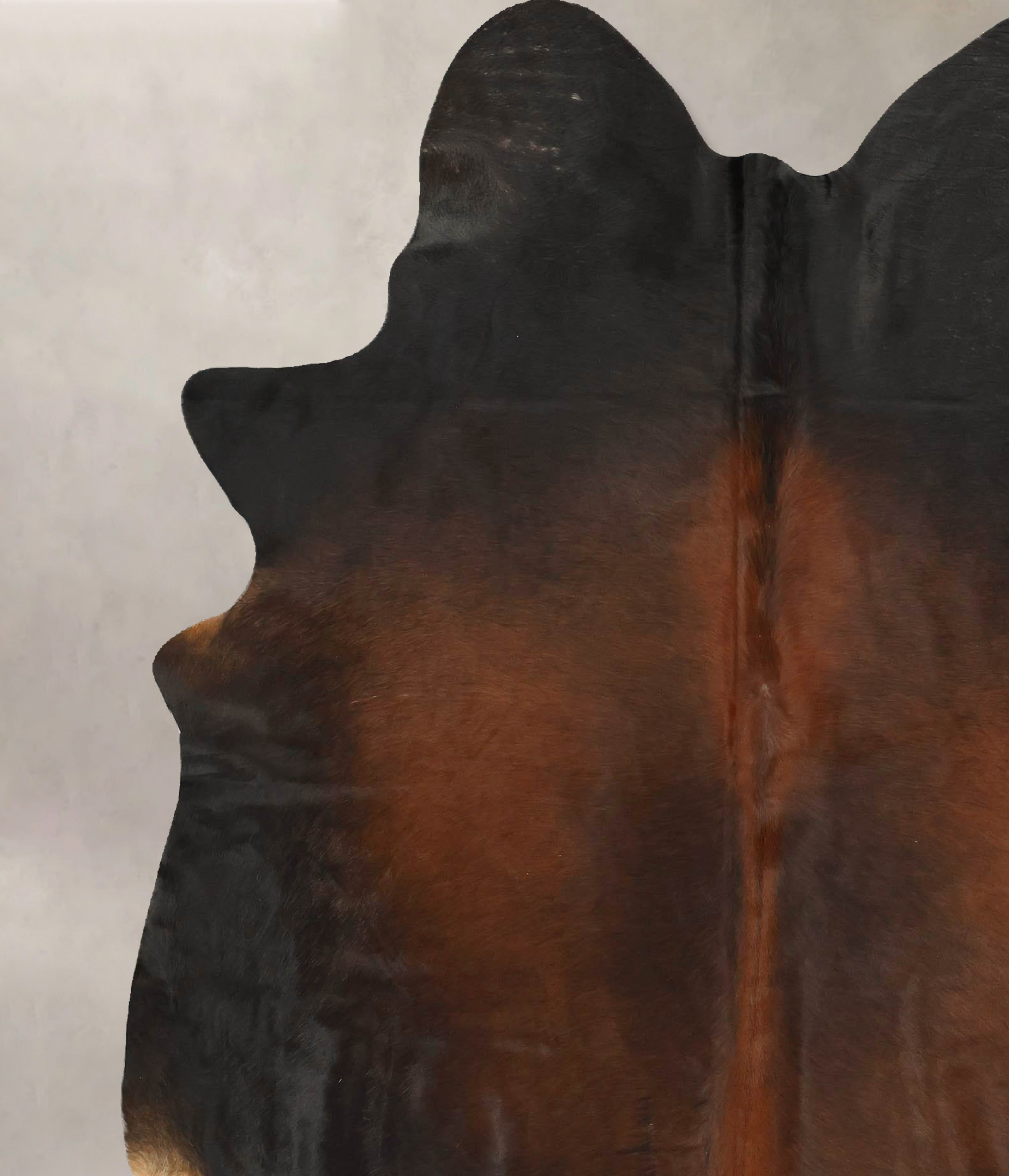 Warm Caramel Cowhide Rug #B14172