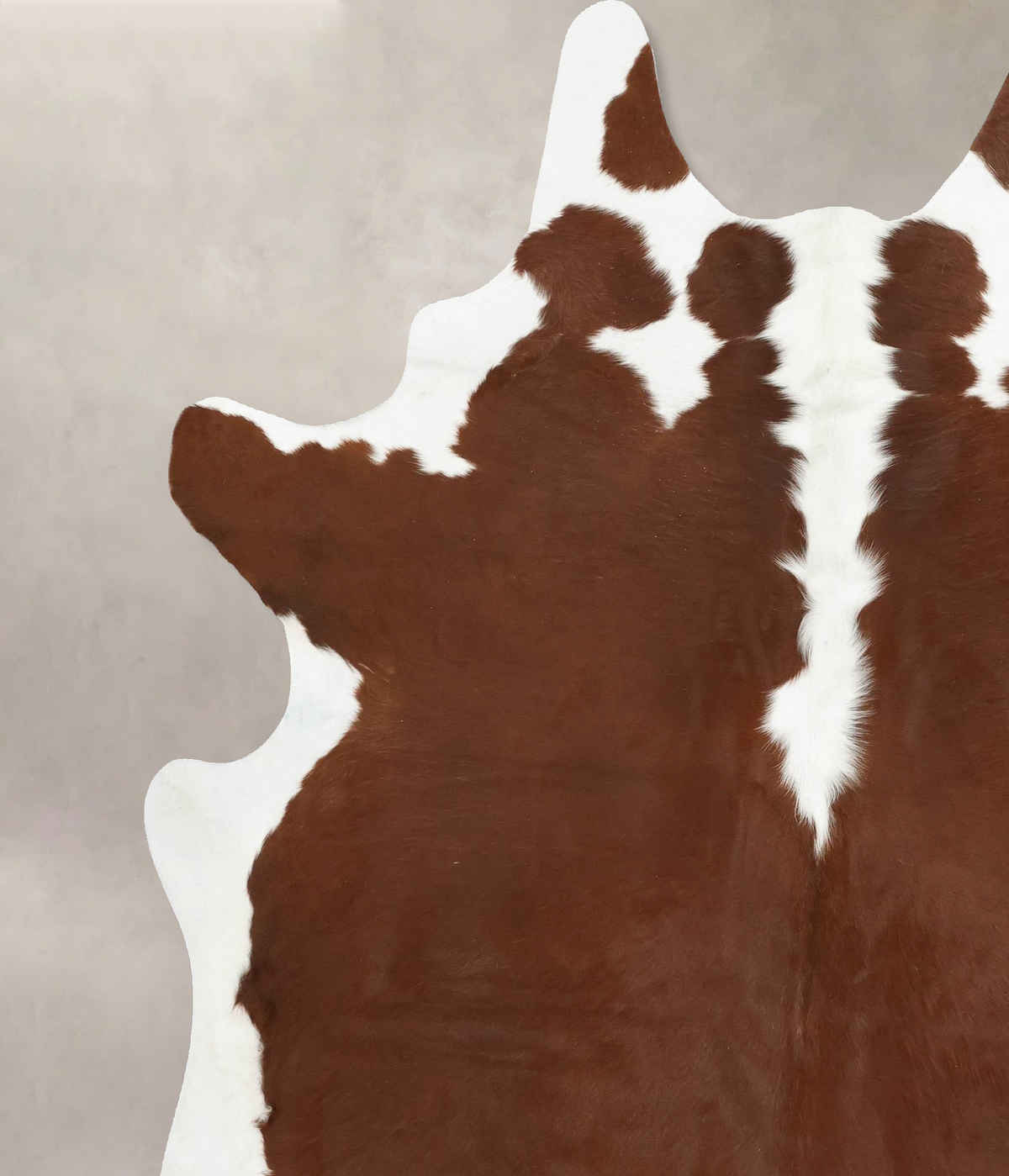 Hereford XX-Large Brazilian Cowhide Rug 8'2"H x 6'10"W #B14180 by Hudson Hides