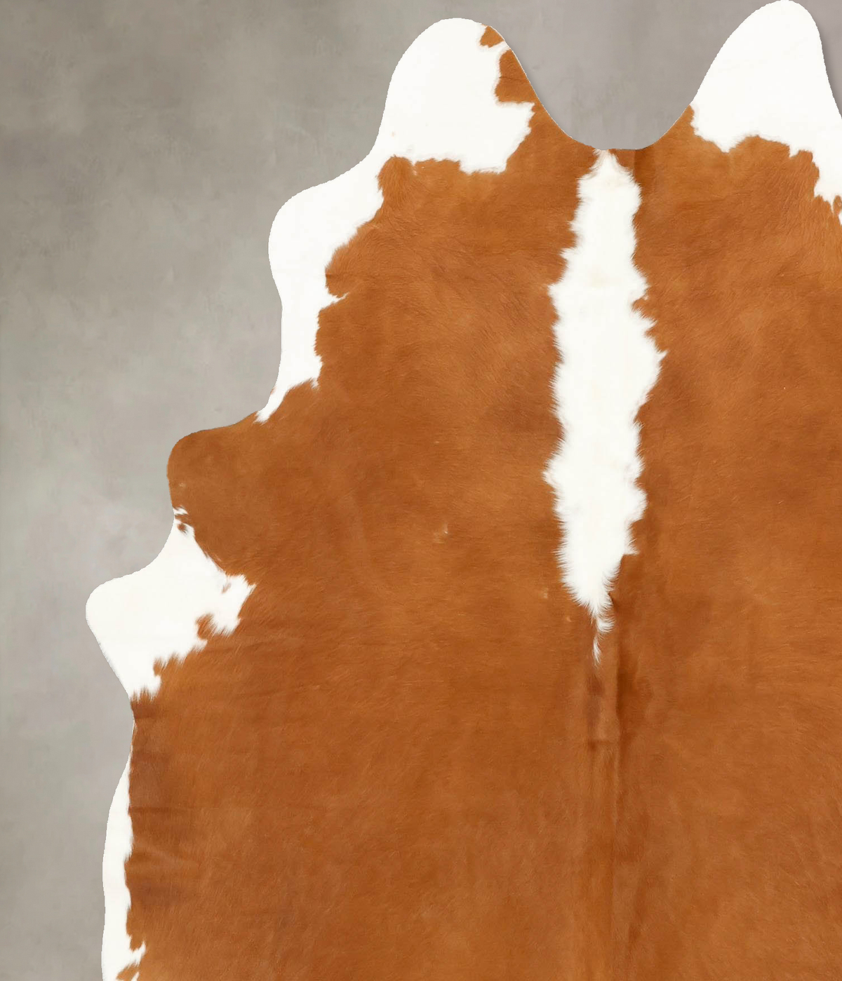 Hereford X-Large Brazilian Cowhide Rug 7'3"H x 5'10"W #B14192 by Hudson Hides