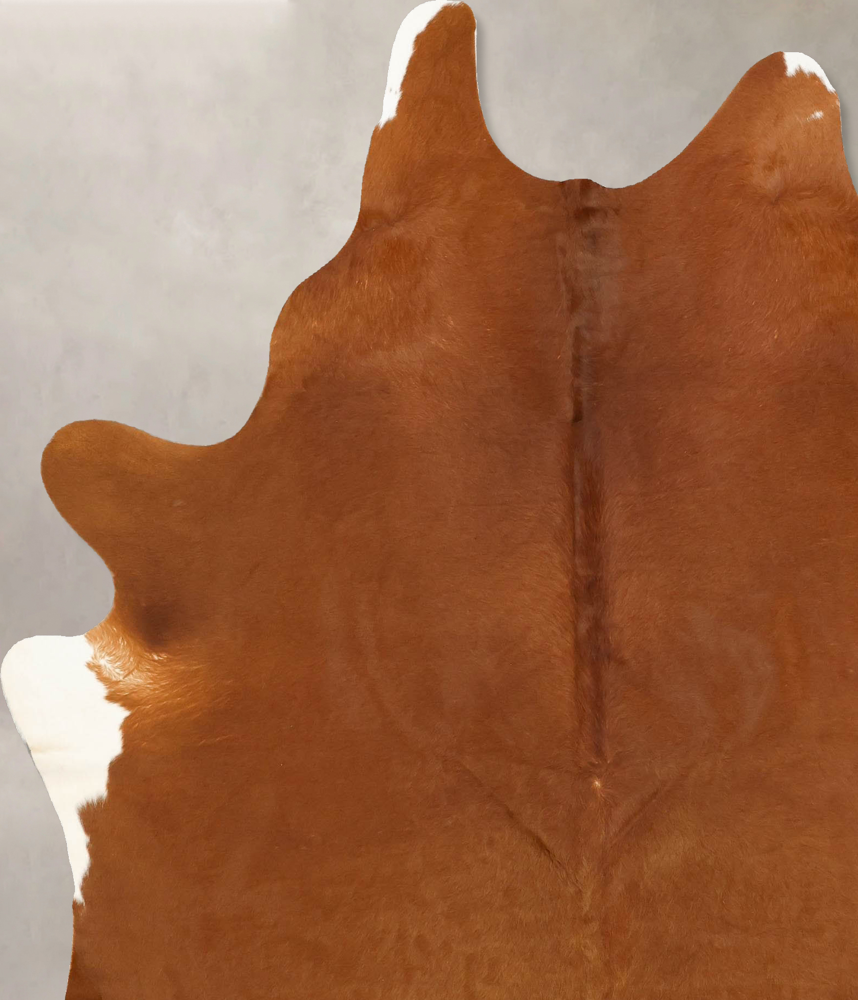 Solid Brown Cowhide Rug #B14200