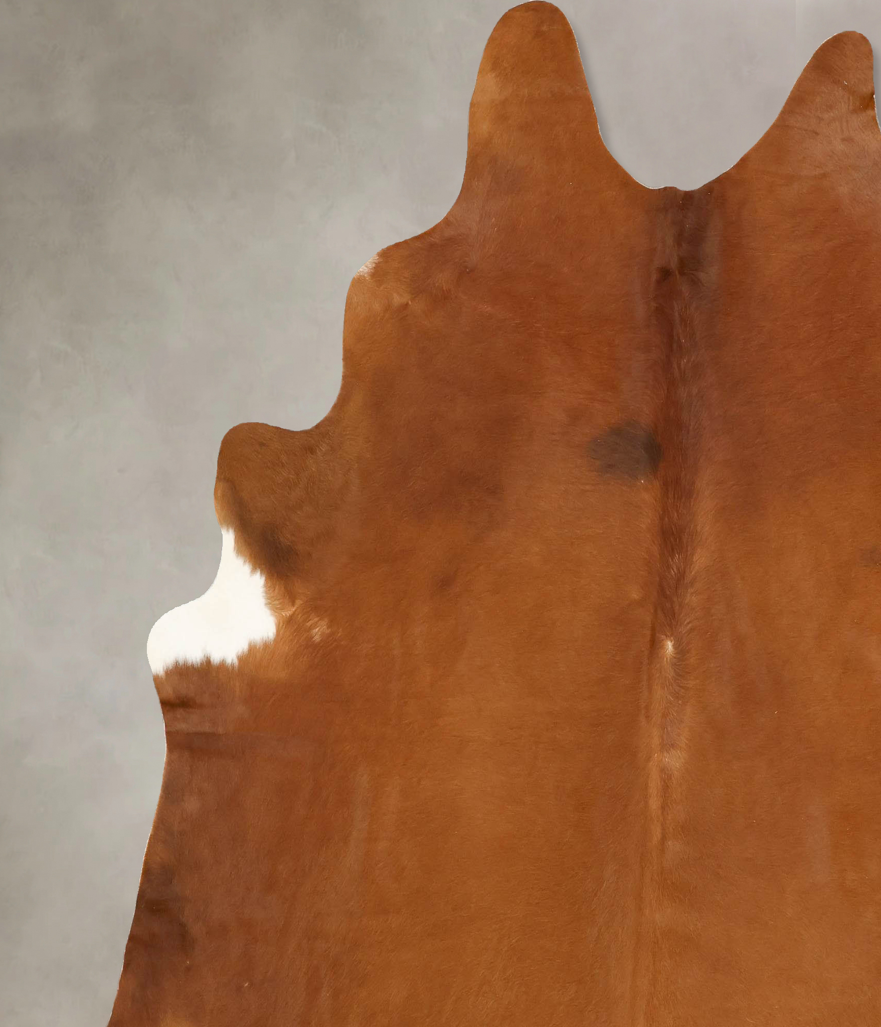 Solid Brown Cowhide Rug #B14203