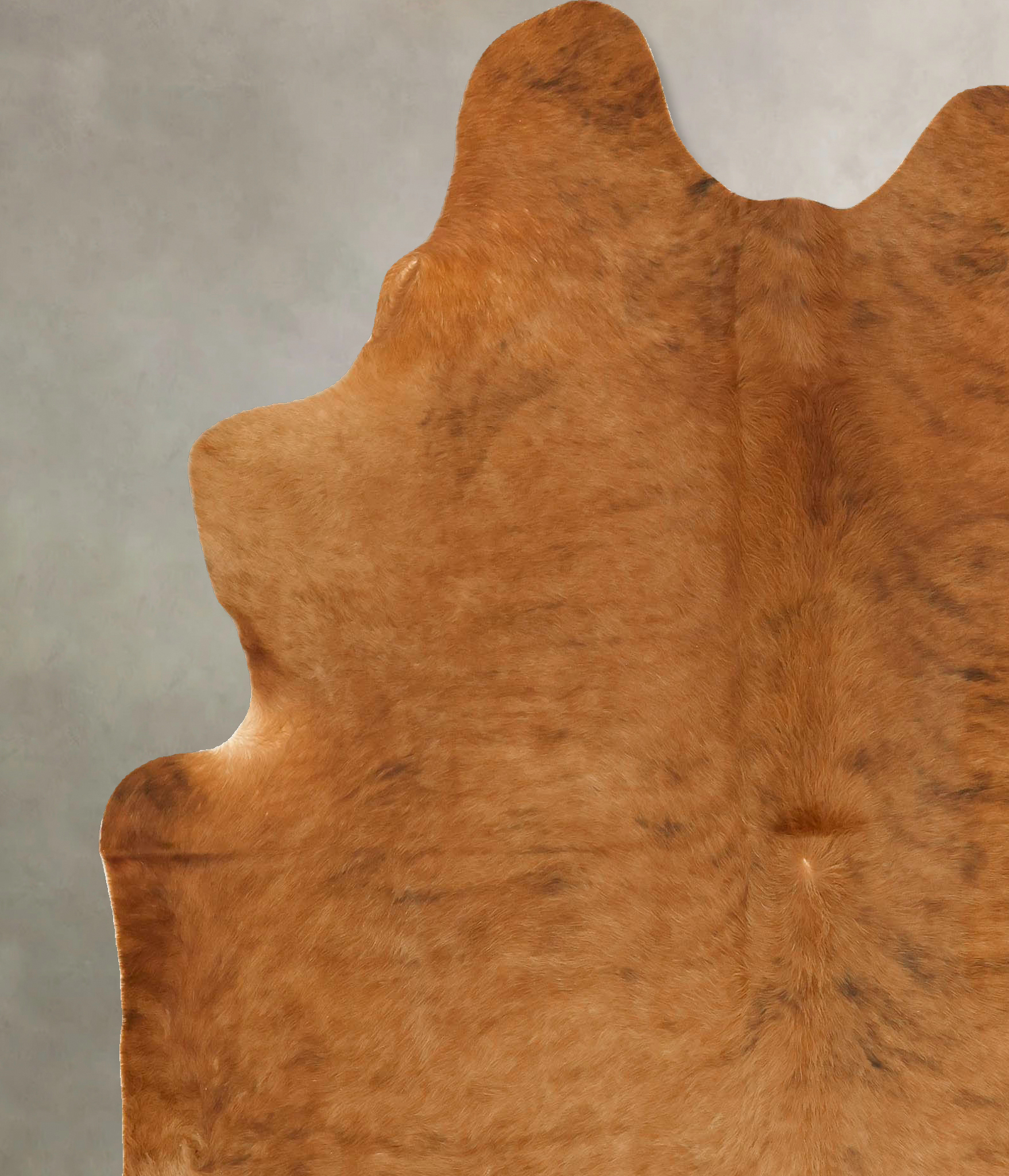 Medium Brindle Cowhide Rug #B14204