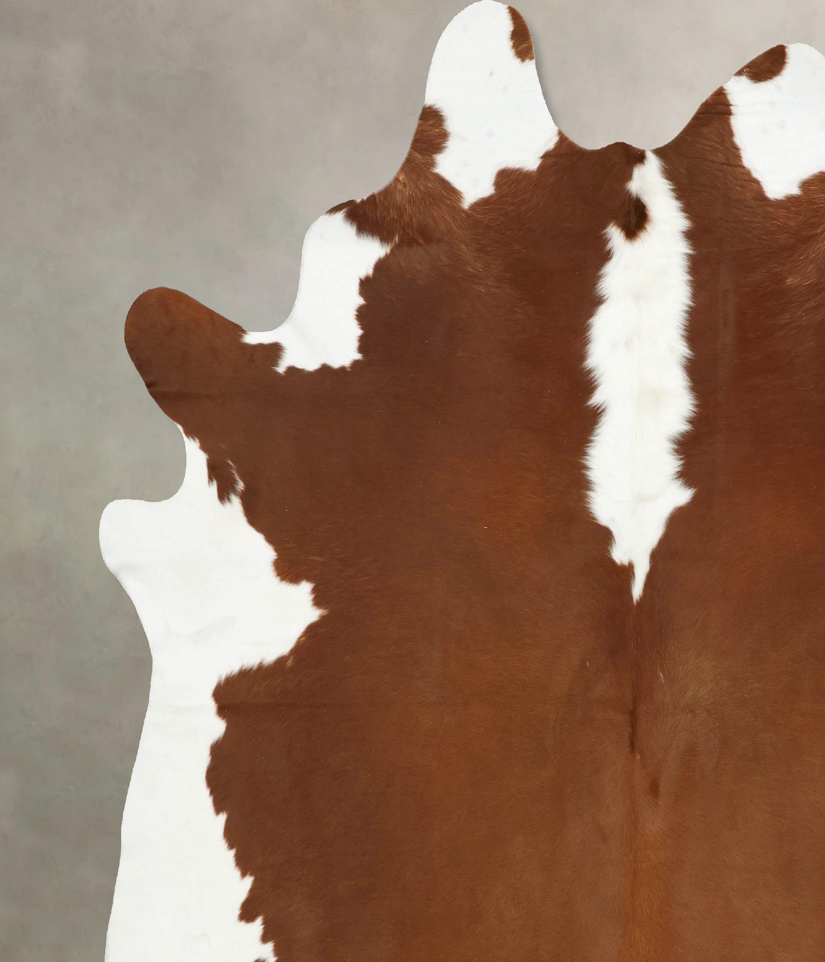 Hereford XX-Large Brazilian Cowhide Rug 8'6"H x 7'5"W #B14214 by Hudson Hides