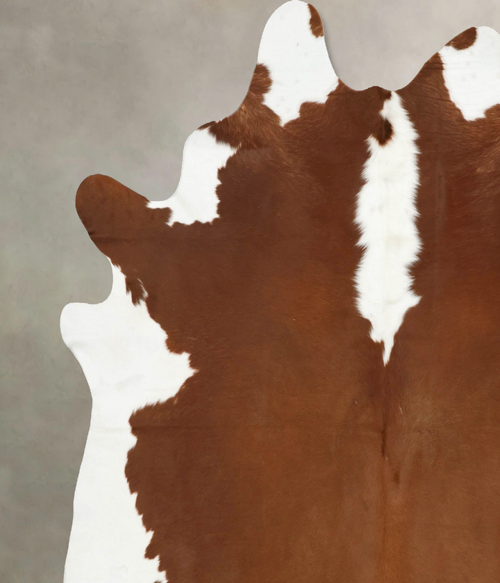 Hereford XX-Large Brazilian Cowhide Rug 8'6"H x 7'5"W #B14214 by Hudson Hides