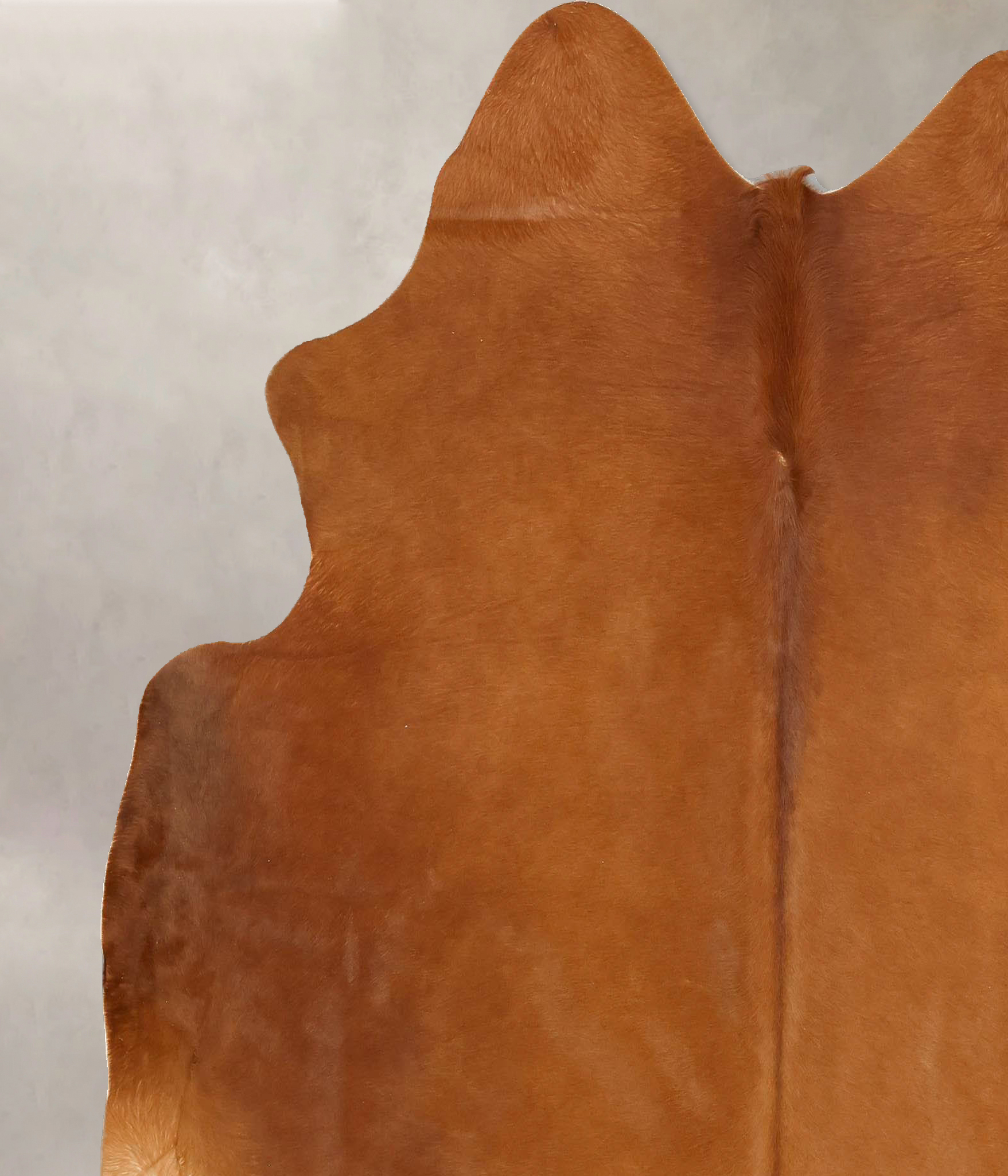 Solid Brown Cowhide Rug #B14220