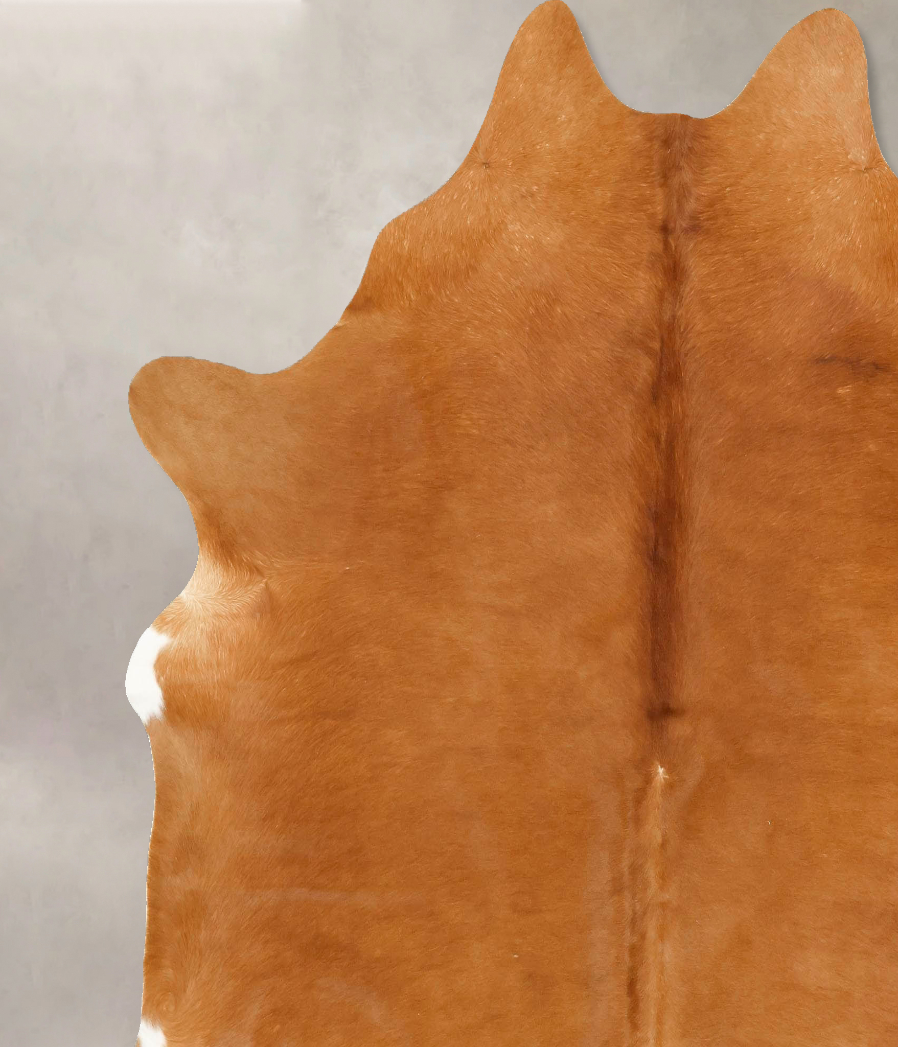Solid Brown Cowhide Rug #B14226