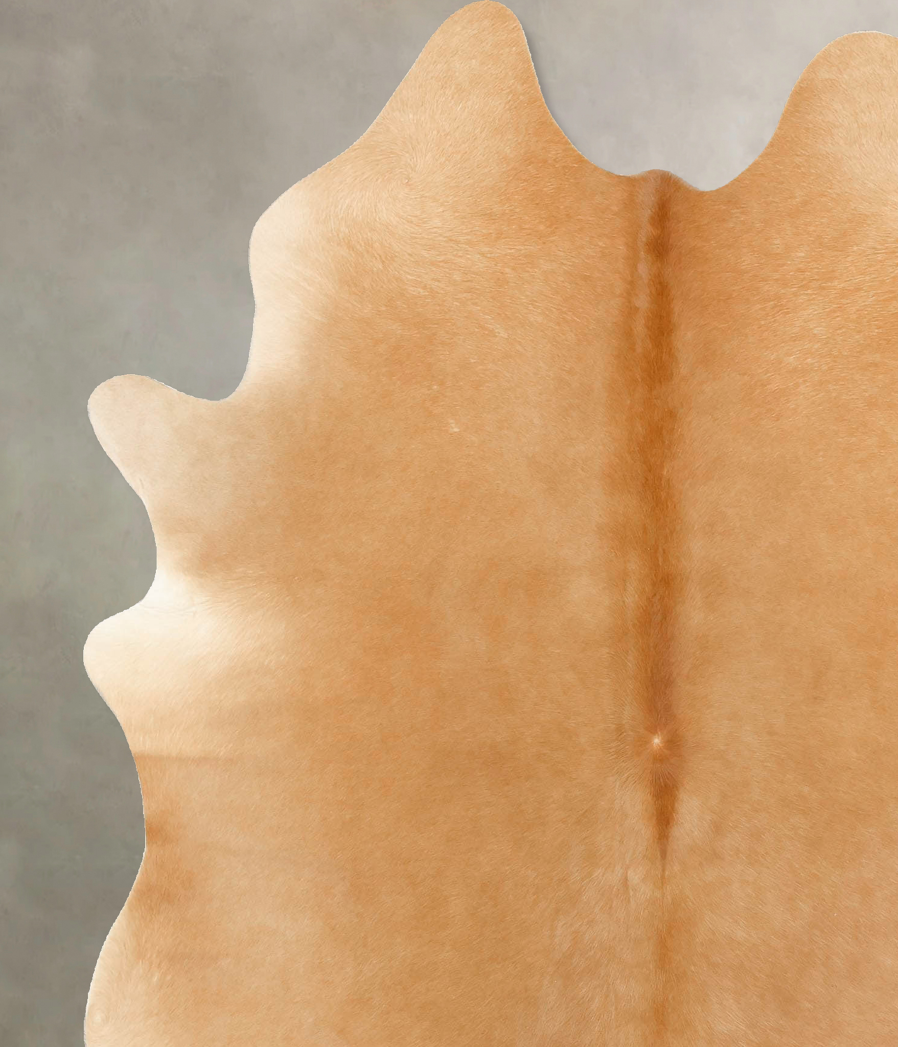 Beige Cowhide Rug #B14229