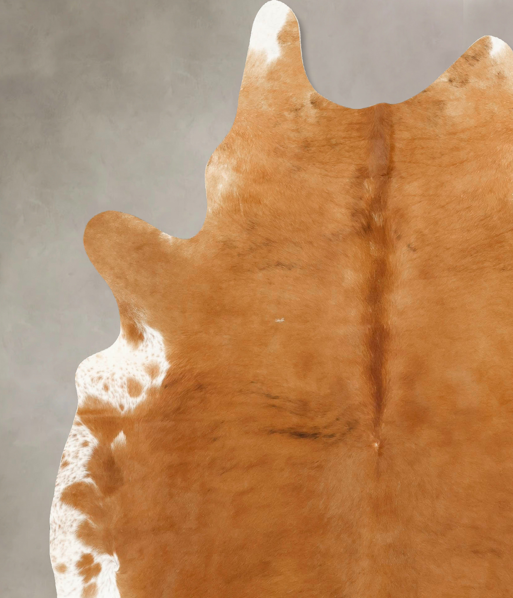 Solid Brown Cowhide Rug #B14231
