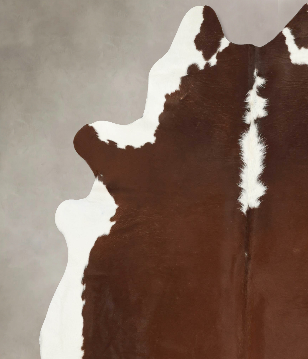 Hereford XX-Large Brazilian Cowhide Rug 7'10"H x 6'10"W #B14237 by Hud