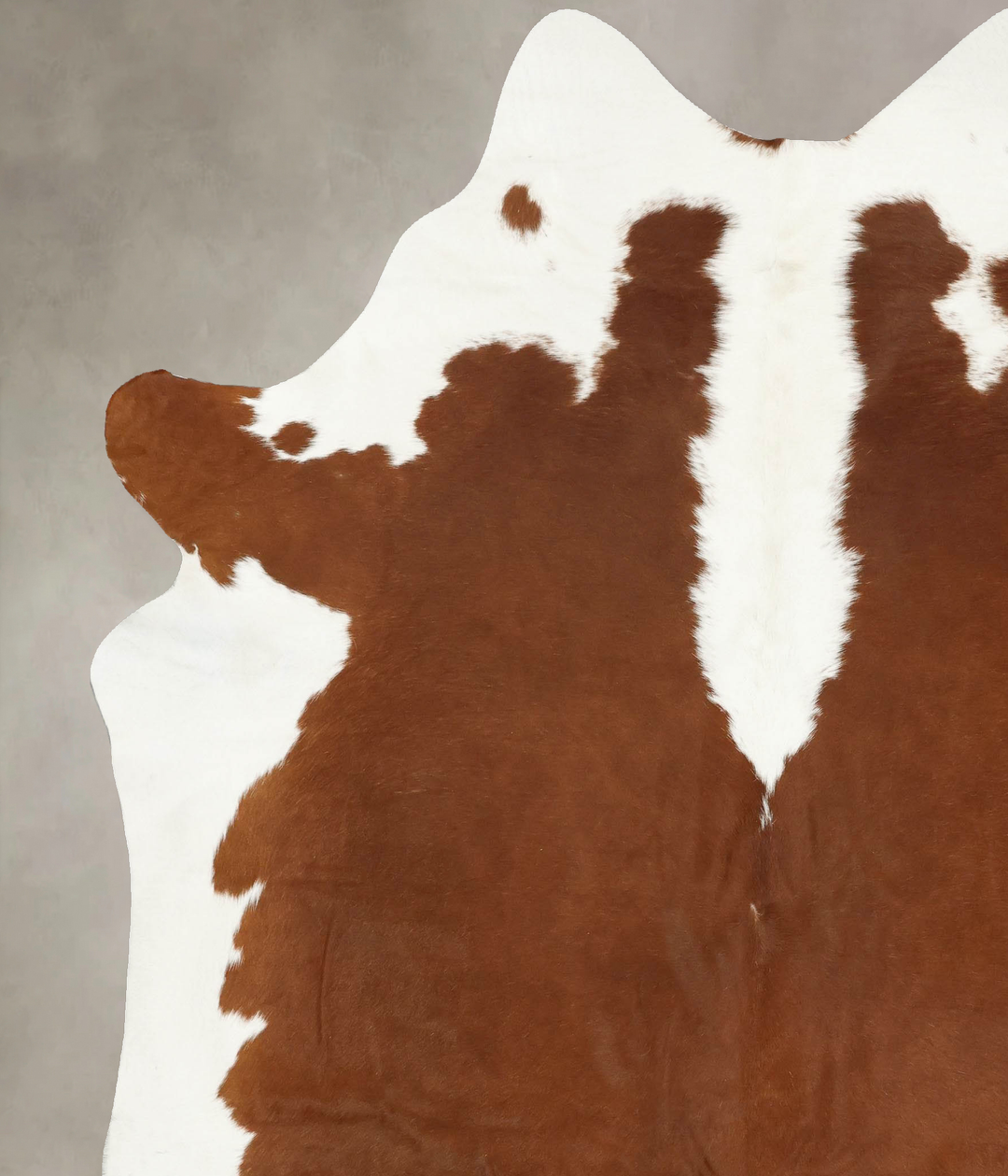 Hereford XX-Large Brazilian Cowhide Rug 8'6"H x 7'0"W #B14238 by Hudso