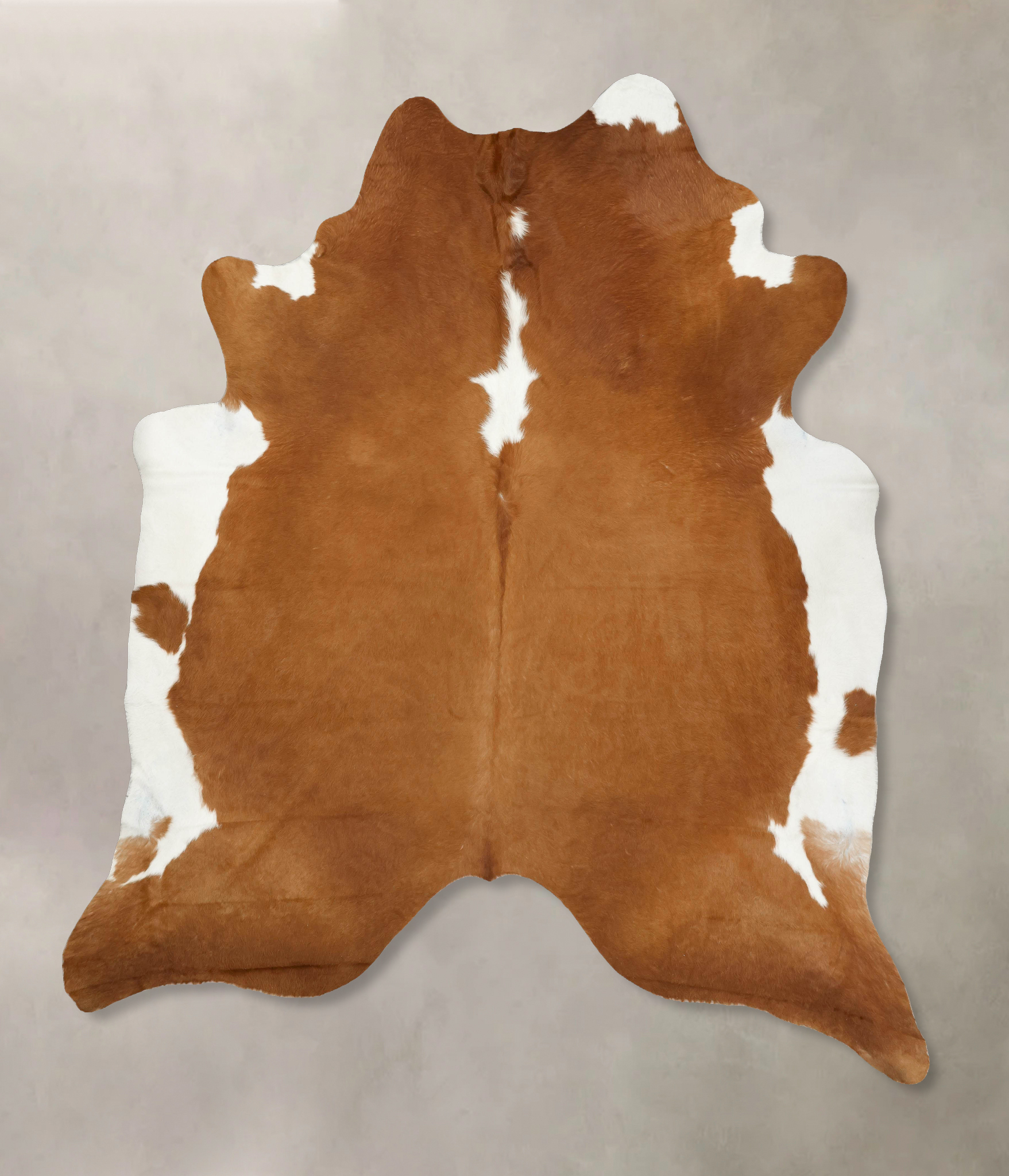 Brown and White Regular Cowhide Rug #B14239