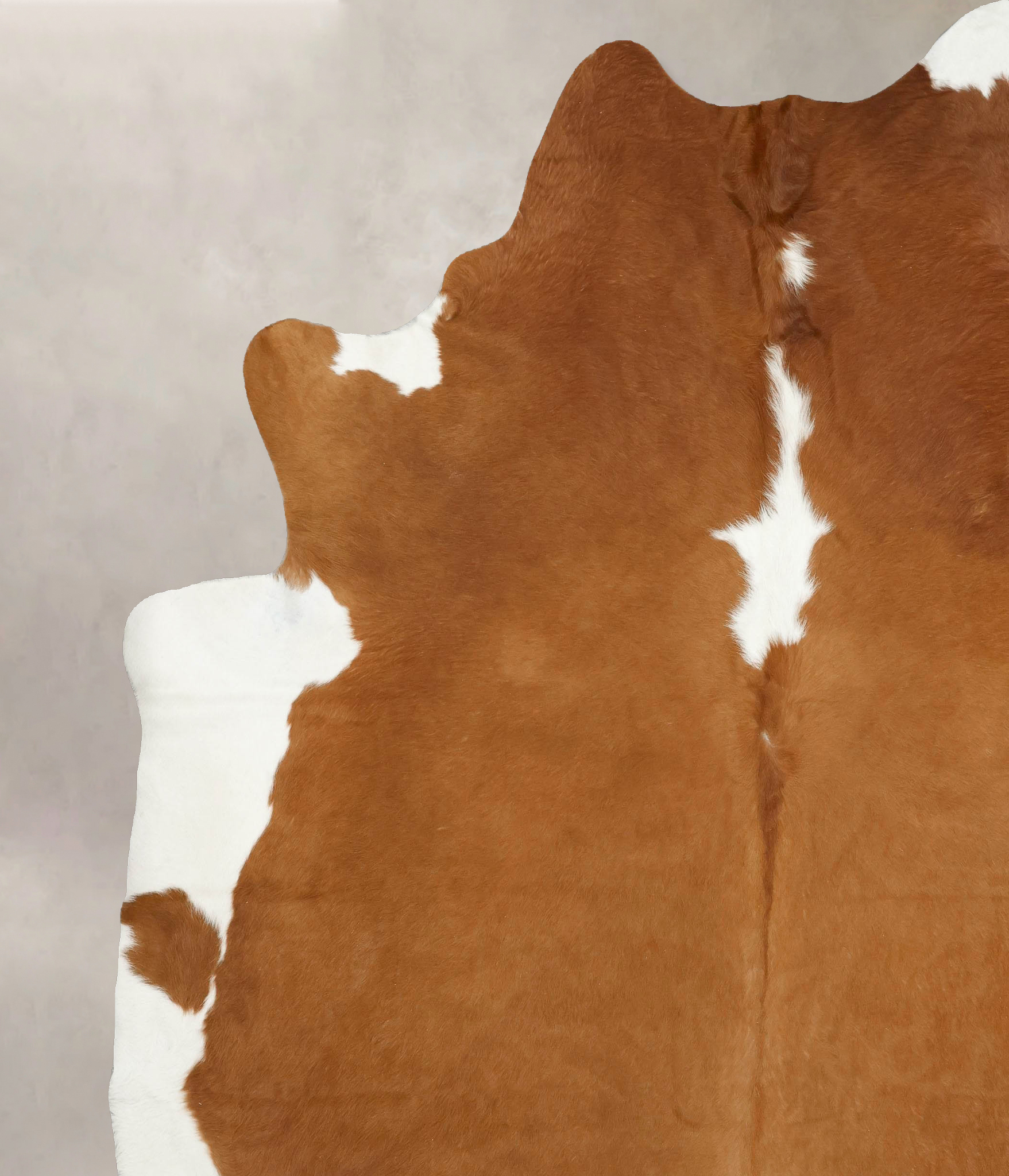 Brown and White Regular Cowhide Rug #B14239