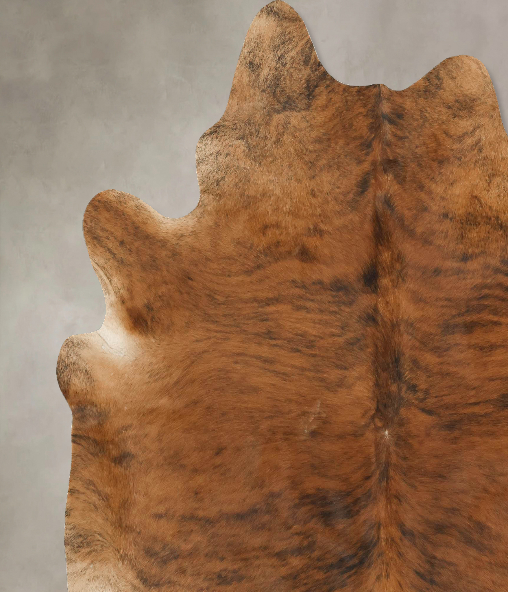 Medium Brindle Cowhide Rug #B14244