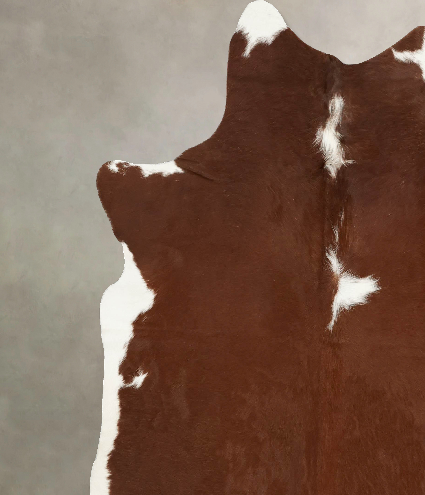 Hereford Cowhide Rug #B14249