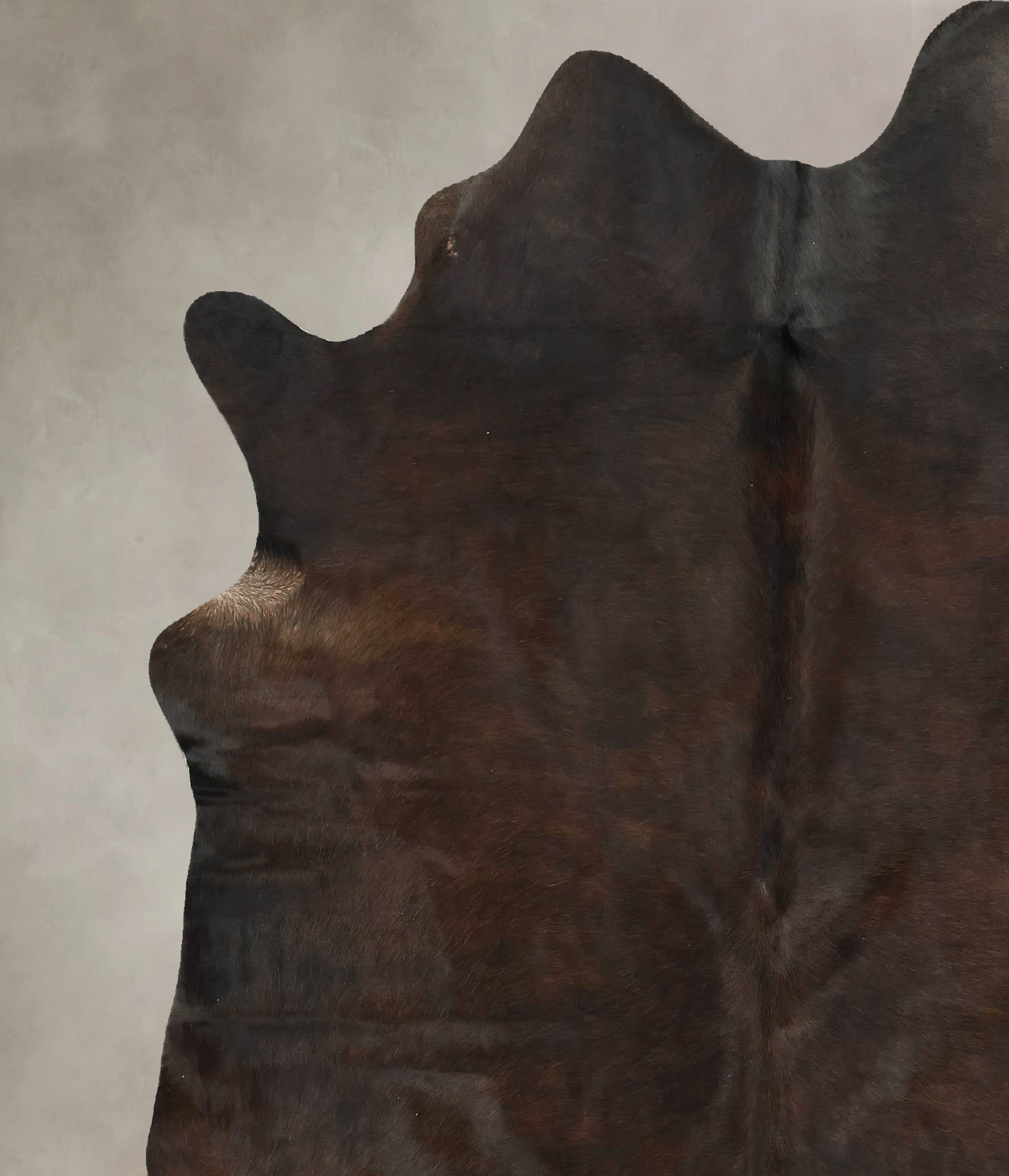 Chocolate Cowhide Rug #B14255