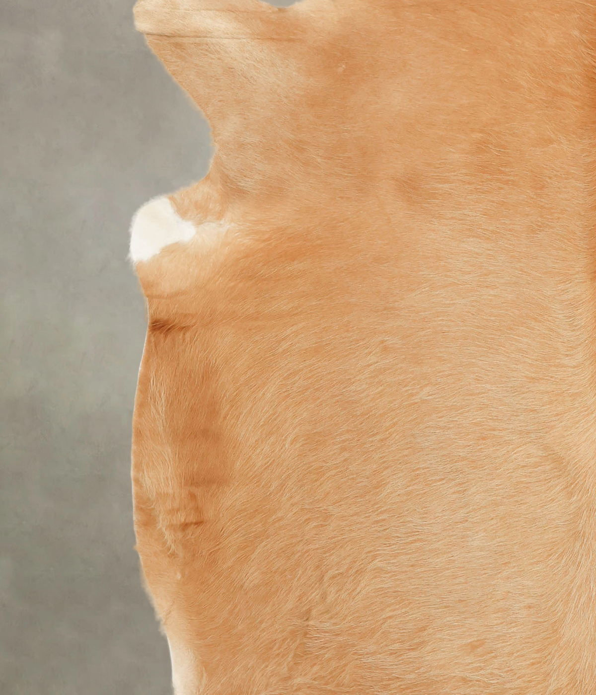 Beige XX-Large Brazilian Cowhide Rug 7'2"H x 7'0"W #B1426 by Hudson Hides