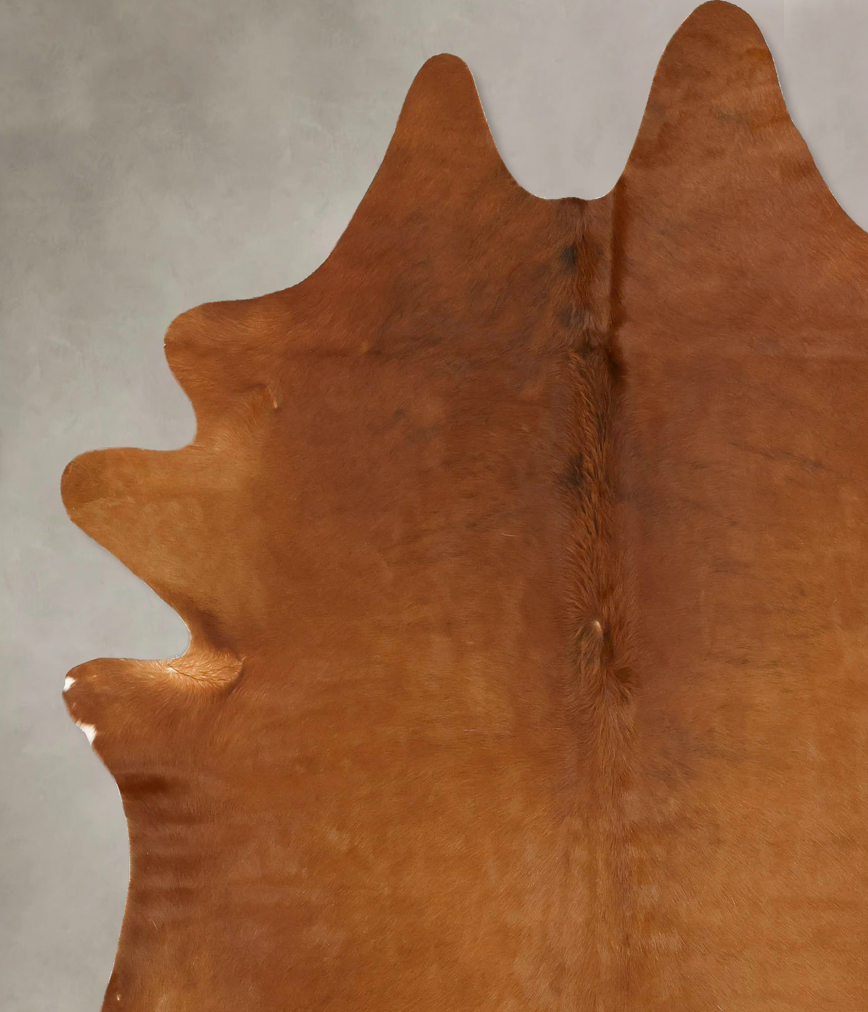 Solid Brown Cowhide Rug #B14260