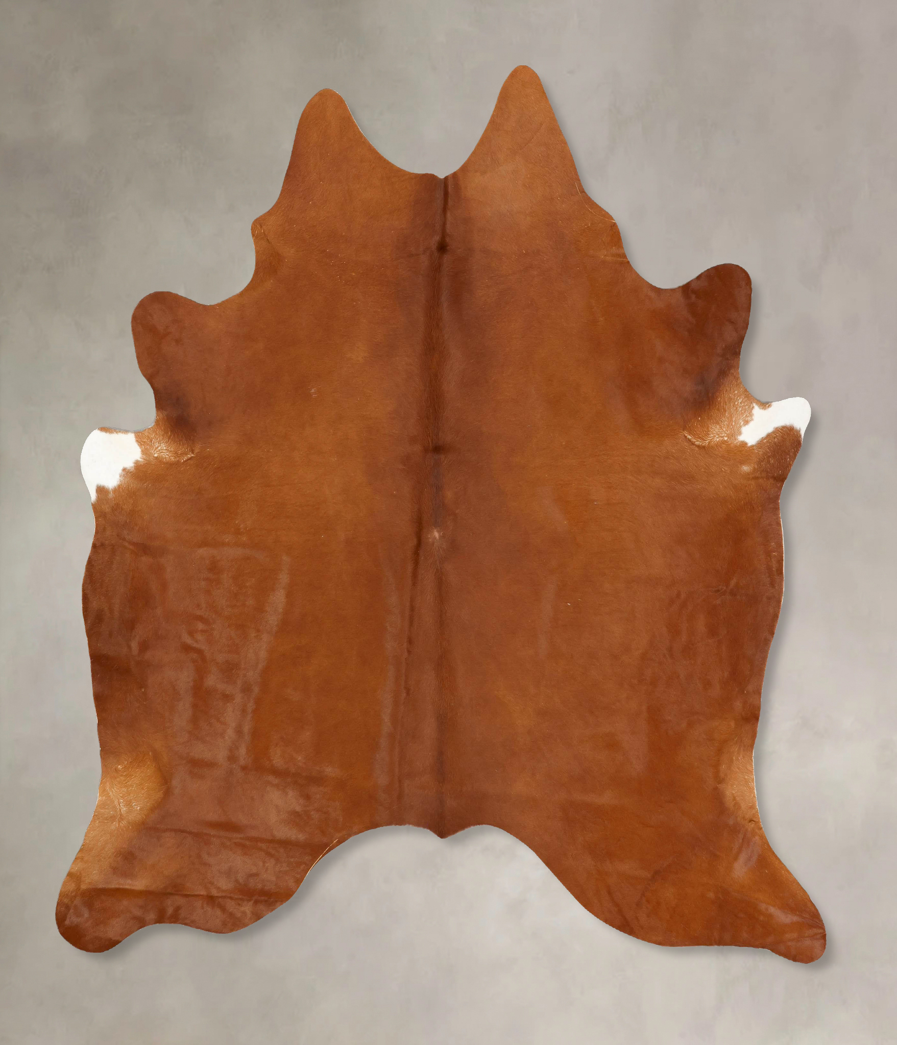Solid Brown Cowhide Rug #B14263