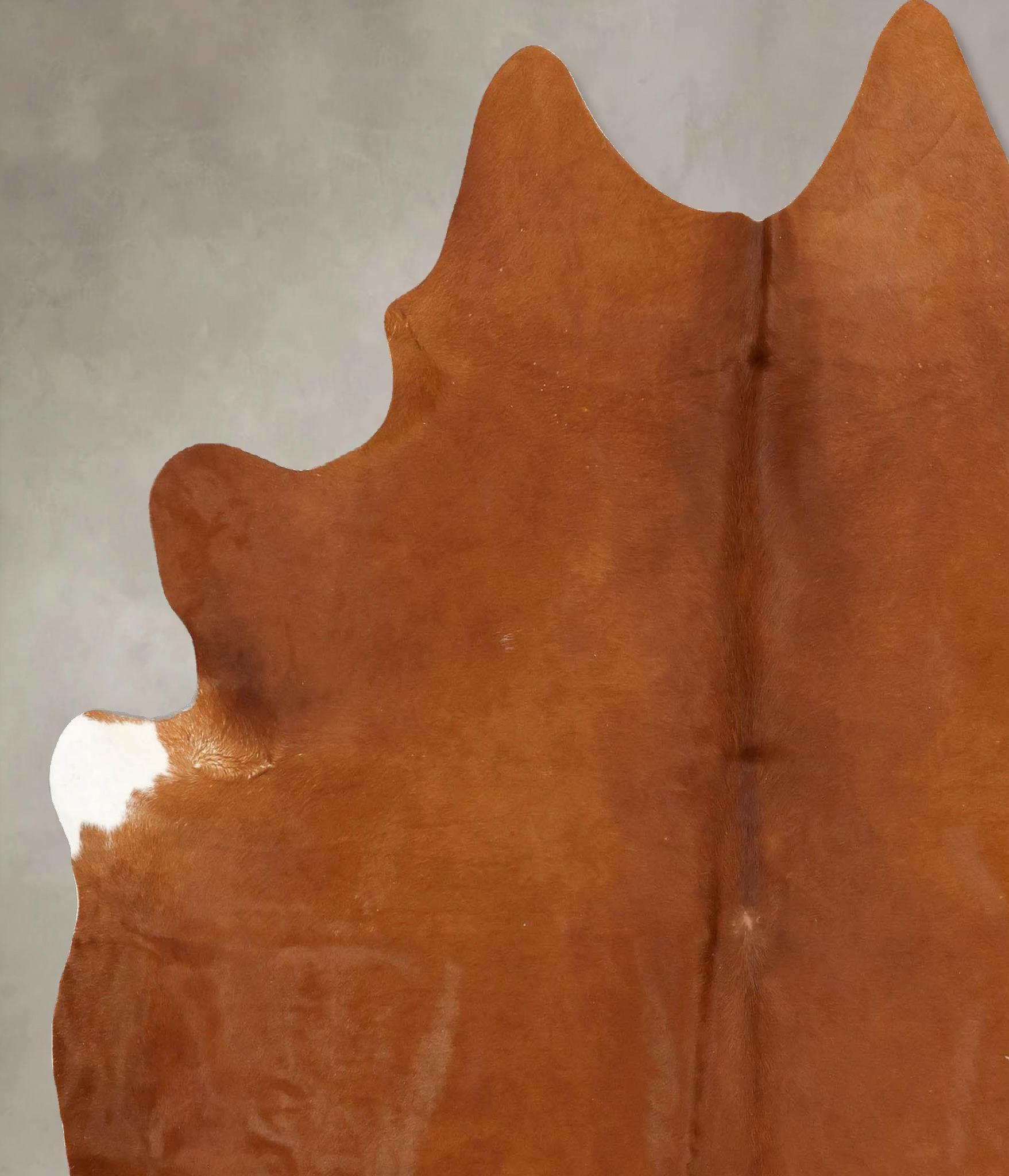 Solid Brown Cowhide Rug #B14263