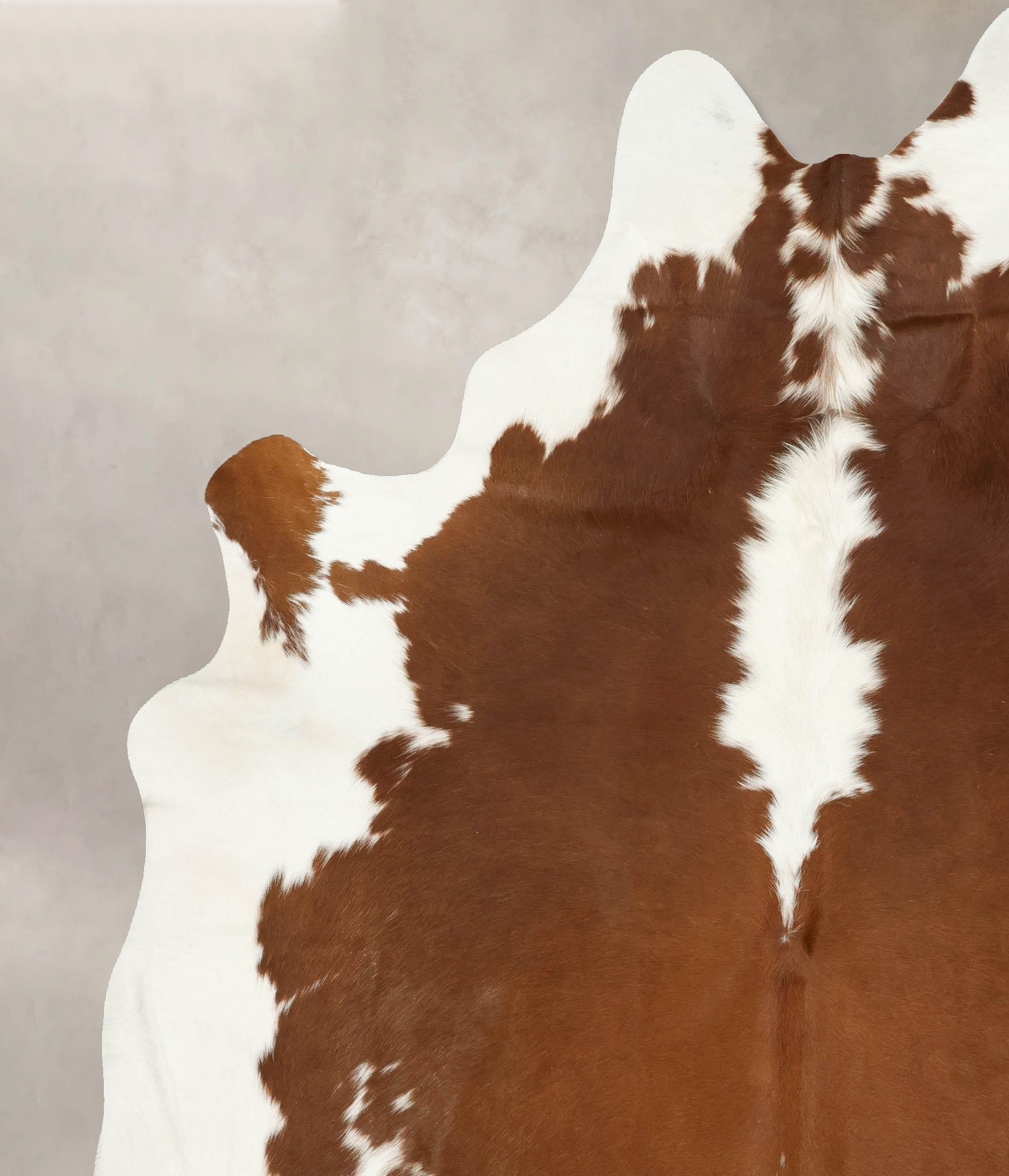 Hereford Cowhide Rug #B14267