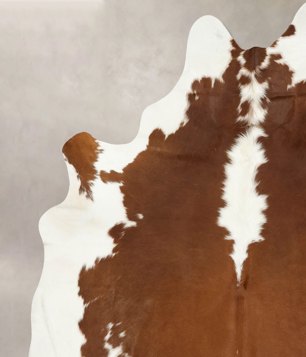 Hereford XX-Large Brazilian Cowhide Rug 8'2"H x 6'9"W #B14267 by Hudson Hides