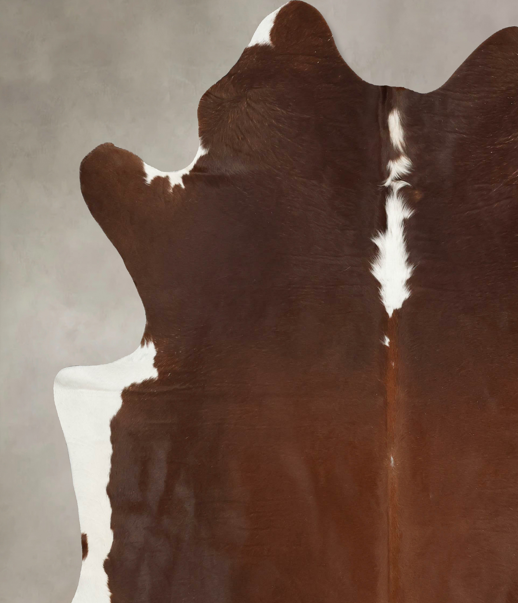 Hereford Cowhide Rug #B14269
