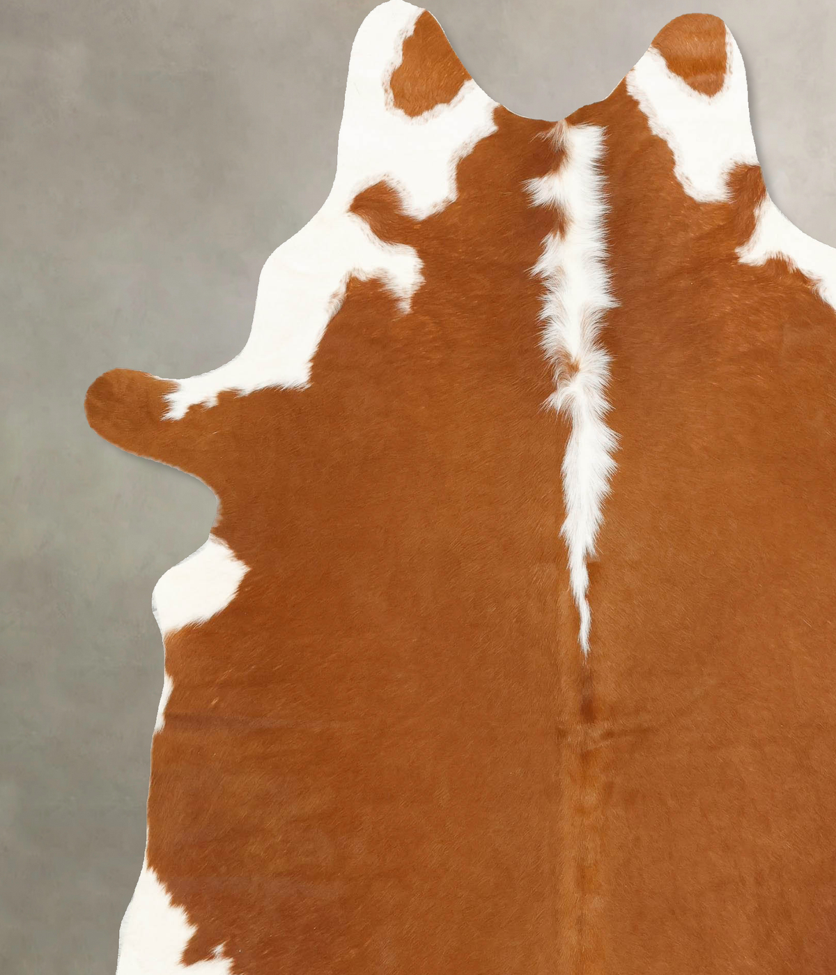 Hereford XX-Large Brazilian Cowhide Rug 7'11"H x 6'4"W #B14272 by Hudson Hides