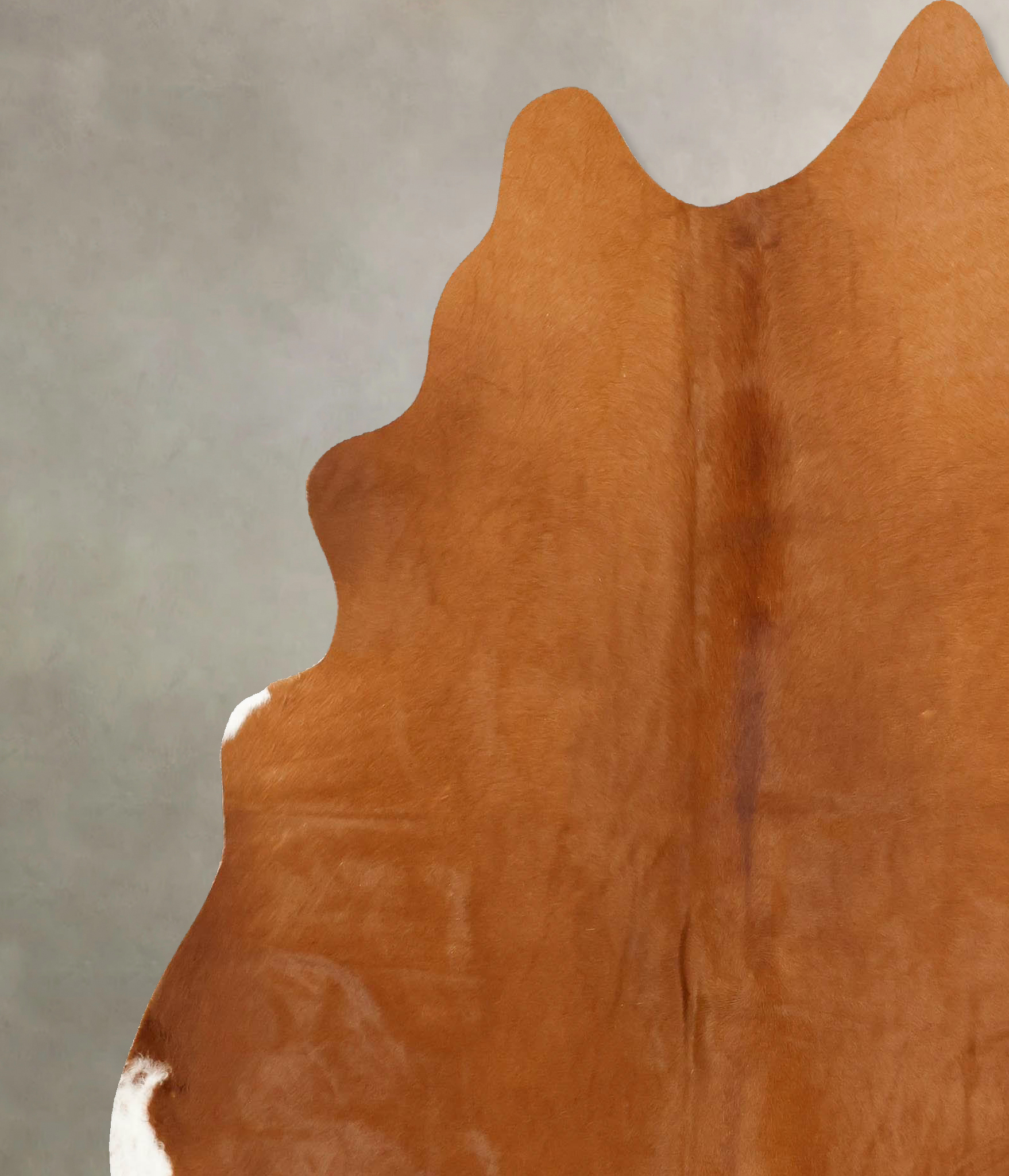 Solid Brown Cowhide Rug #B14274