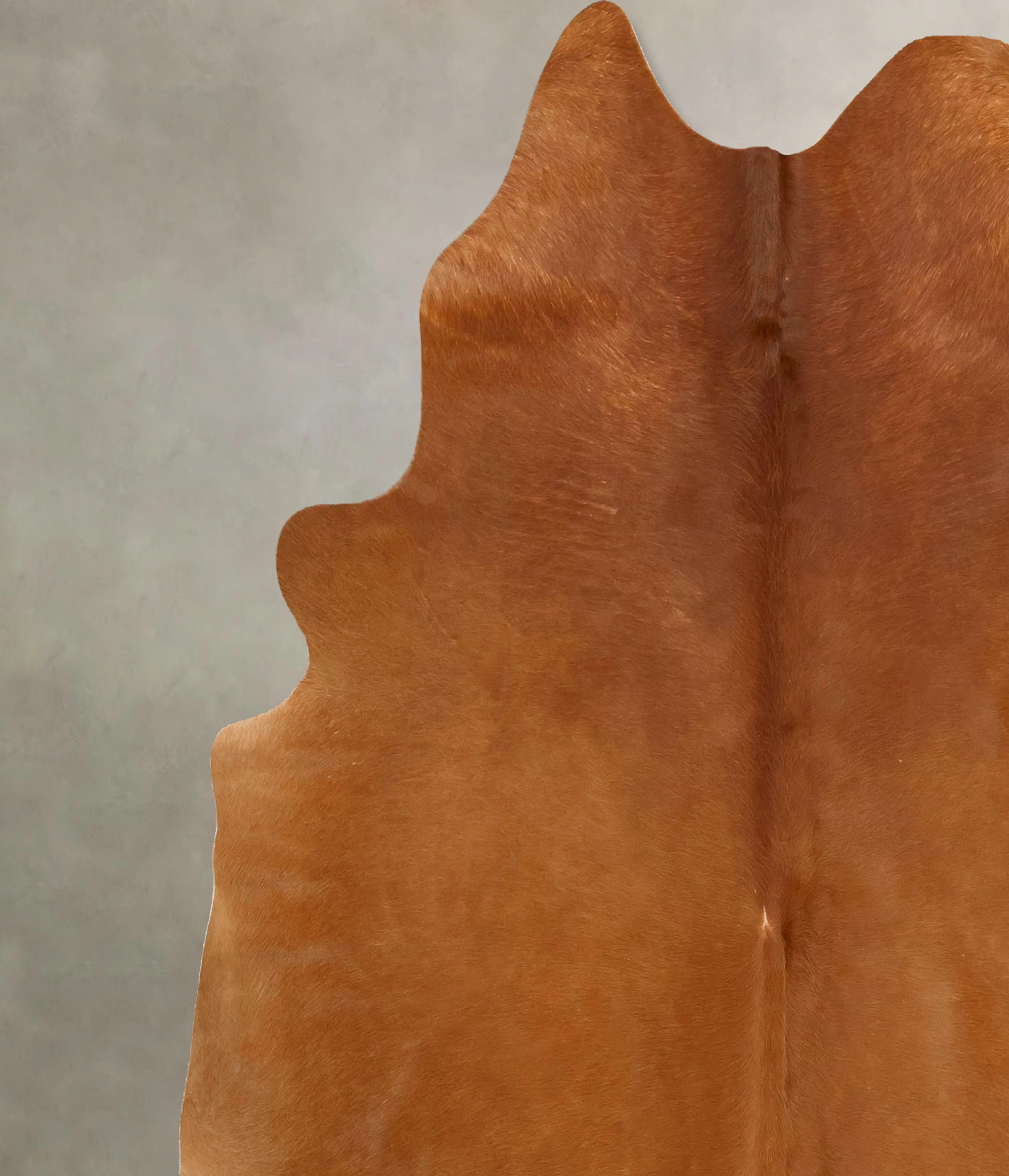 Solid Brown Cowhide Rug #B14276