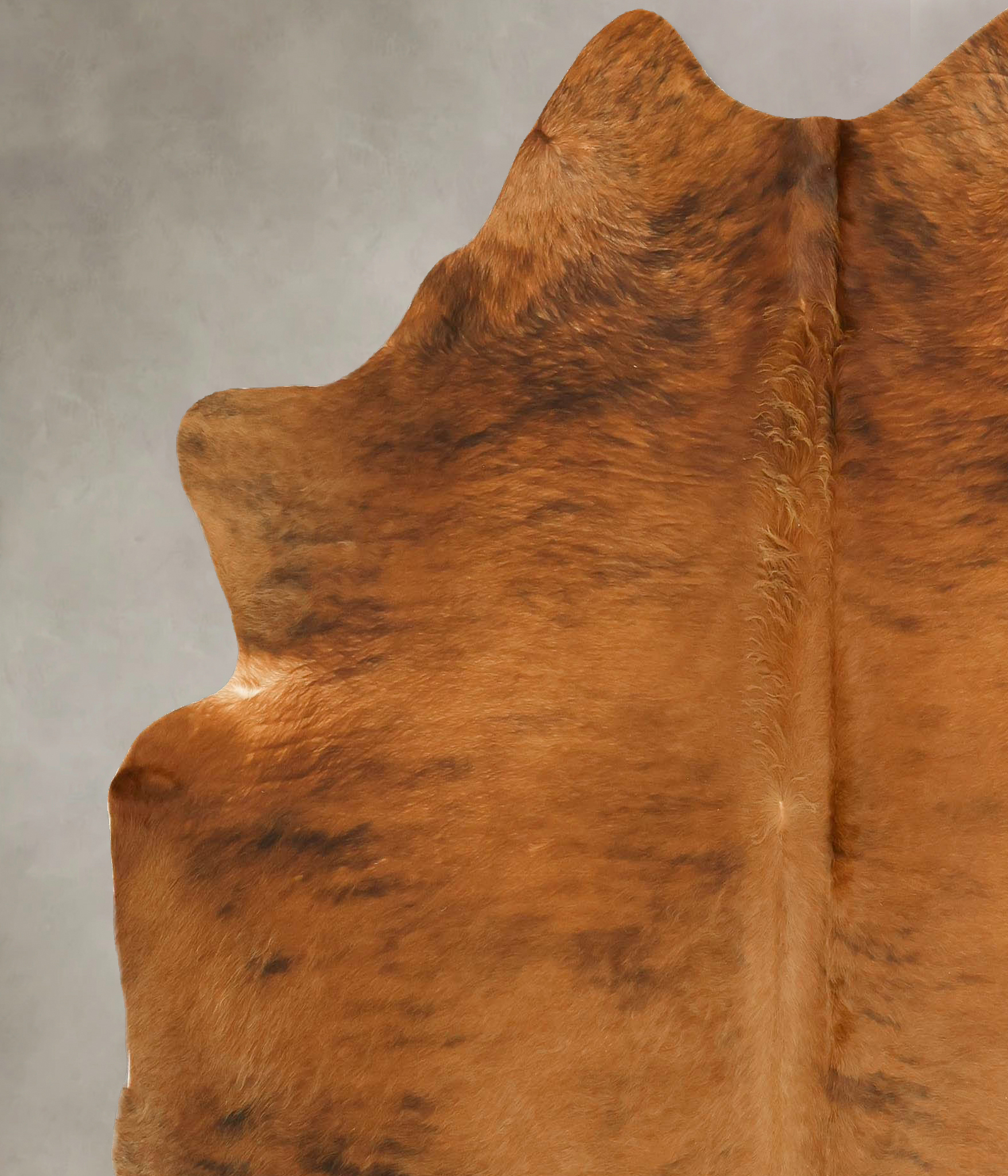 Medium Brindle Cowhide Rug #B14279