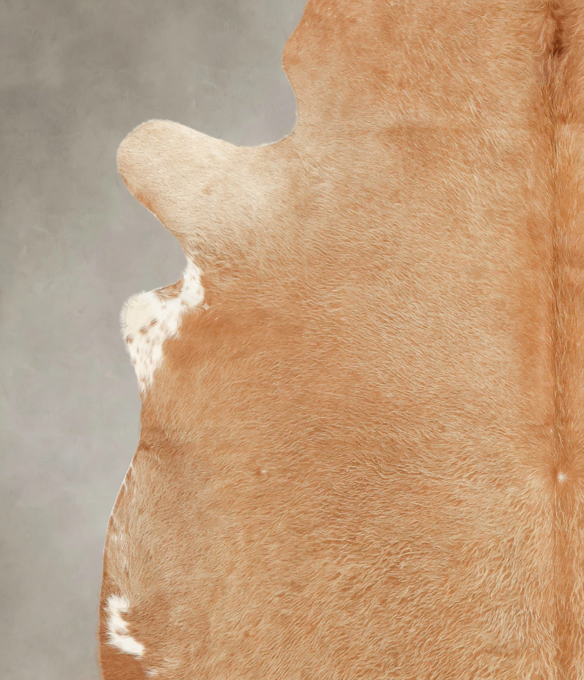 Beige XX-Large Brazilian Cowhide Rug 7'8"H x 7'2"W #B1428 by Hudson Hides