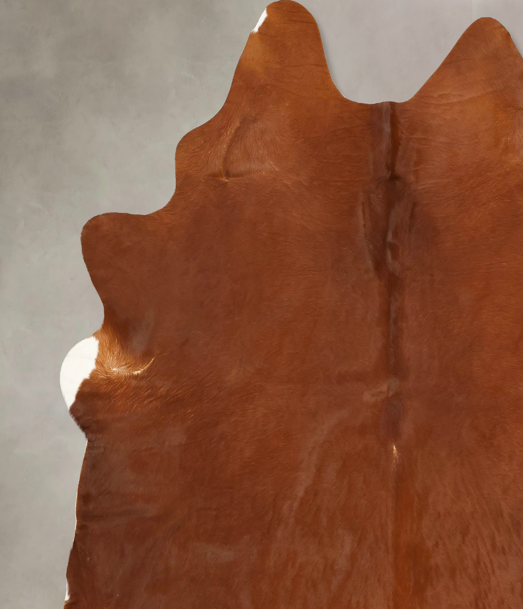 Solid Brown Cowhide Rug #B14280