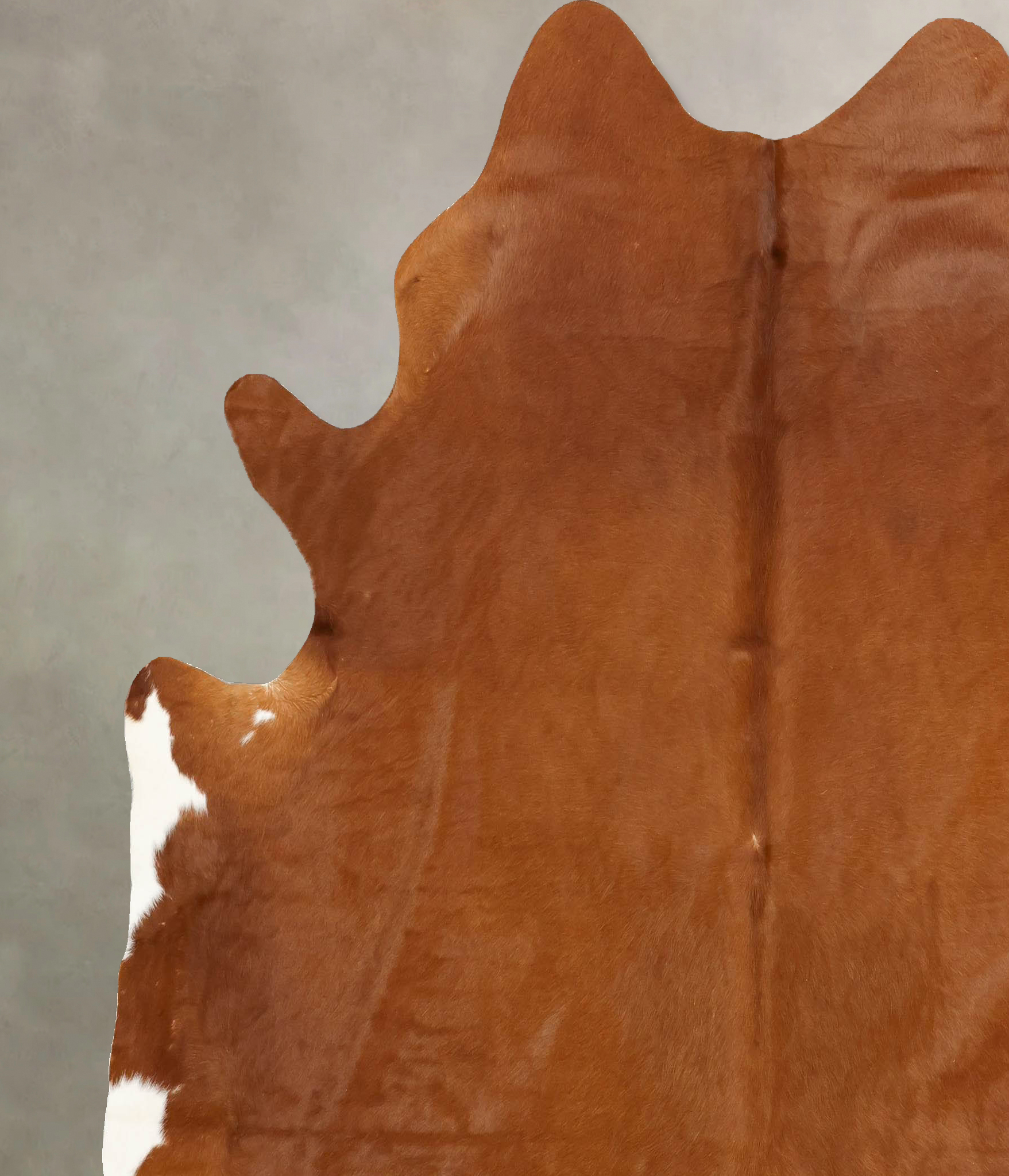 Solid Brown Cowhide Rug #B14284