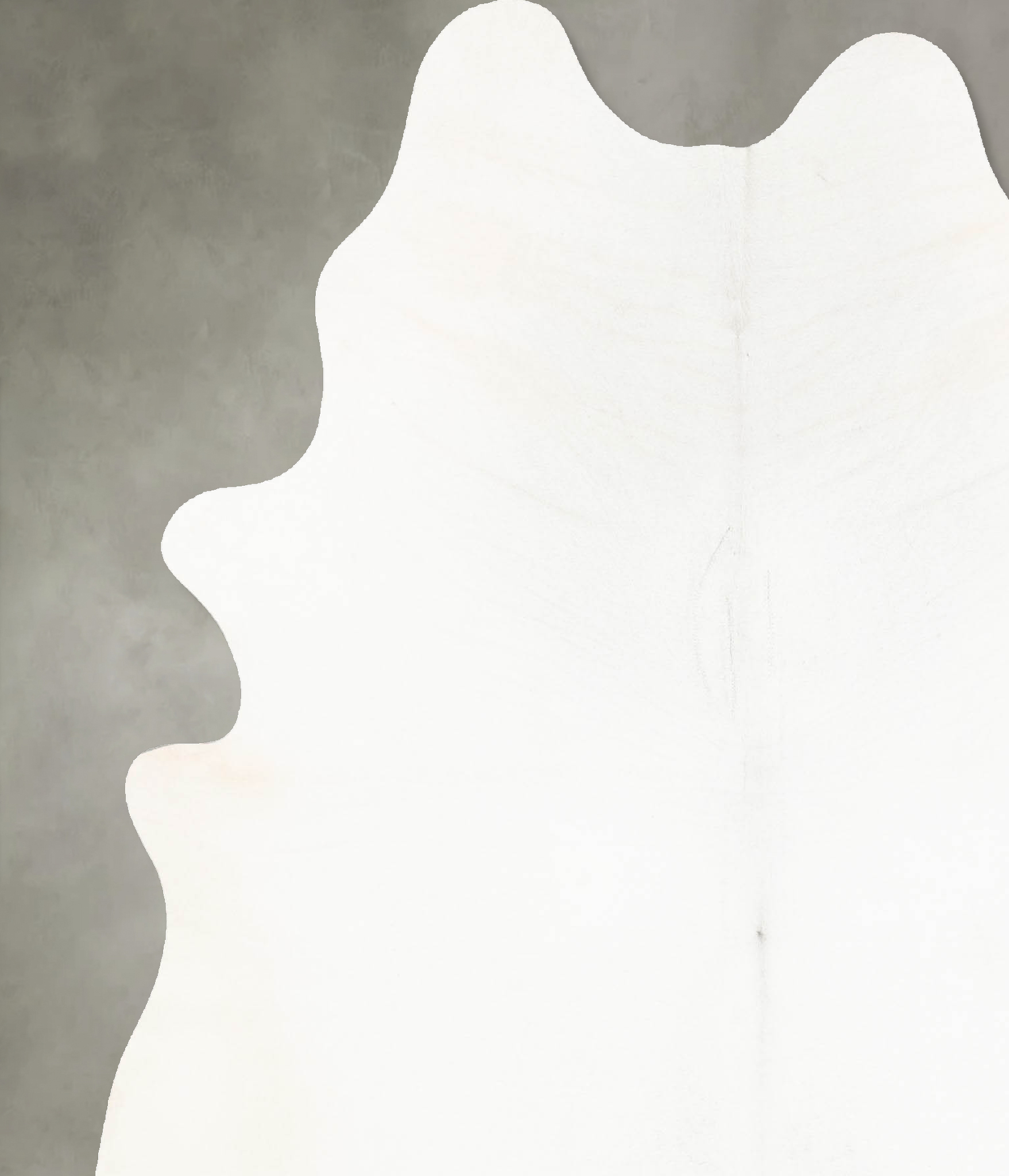 Light Grey Cowhide Rug #B14288