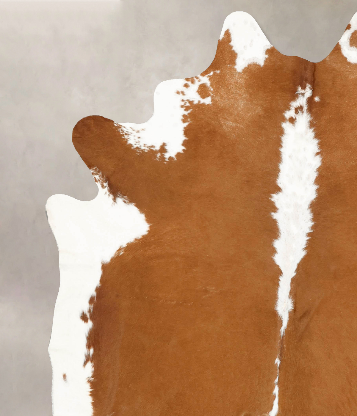 Hereford XX-Large Brazilian Cowhide Rug 8'11"H x 7'1"W #B14290 by Hudson Hides