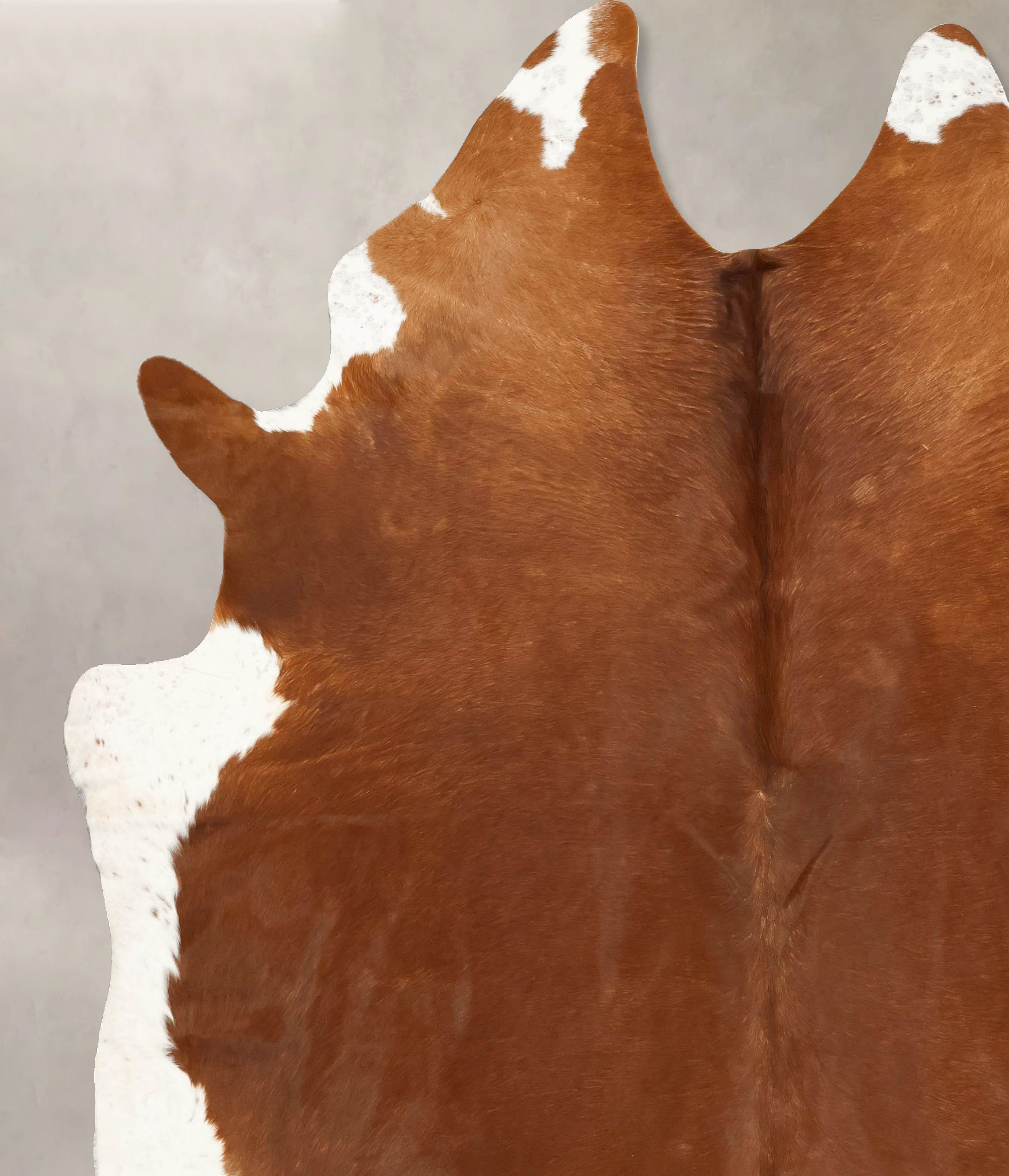 Brown and White Regular Cowhide Rug #B14291