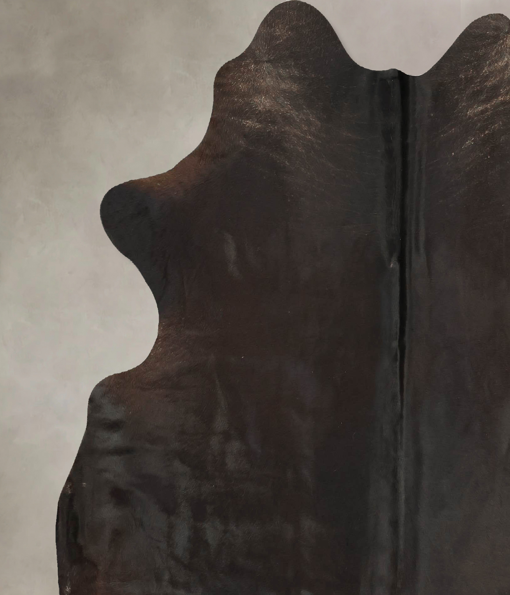 Chocolate Cowhide Rug #B14298