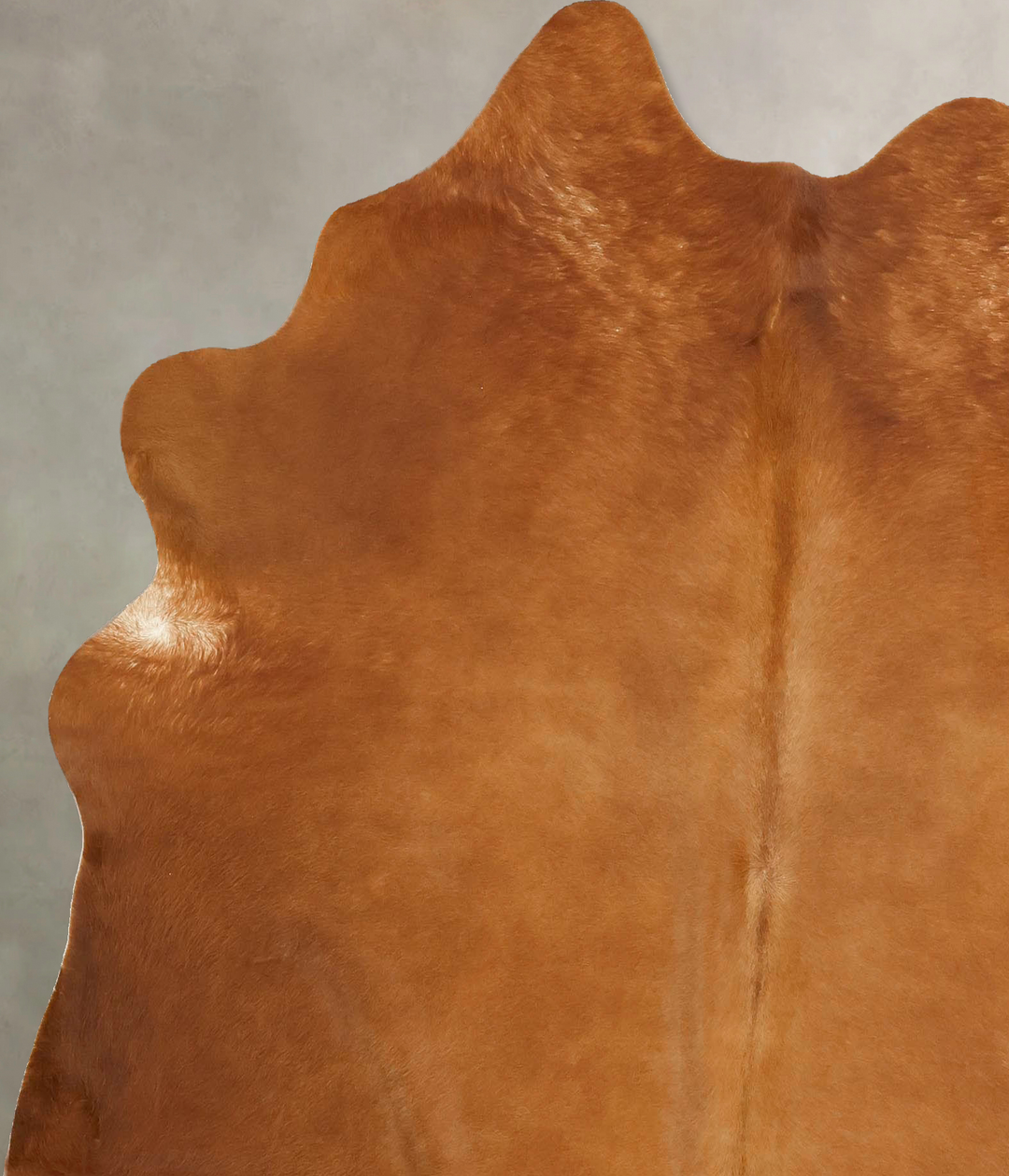 Solid Brown X-Large Brazilian Cowhide Rug 6'9"H x 6'2"W #B14299 by Hud