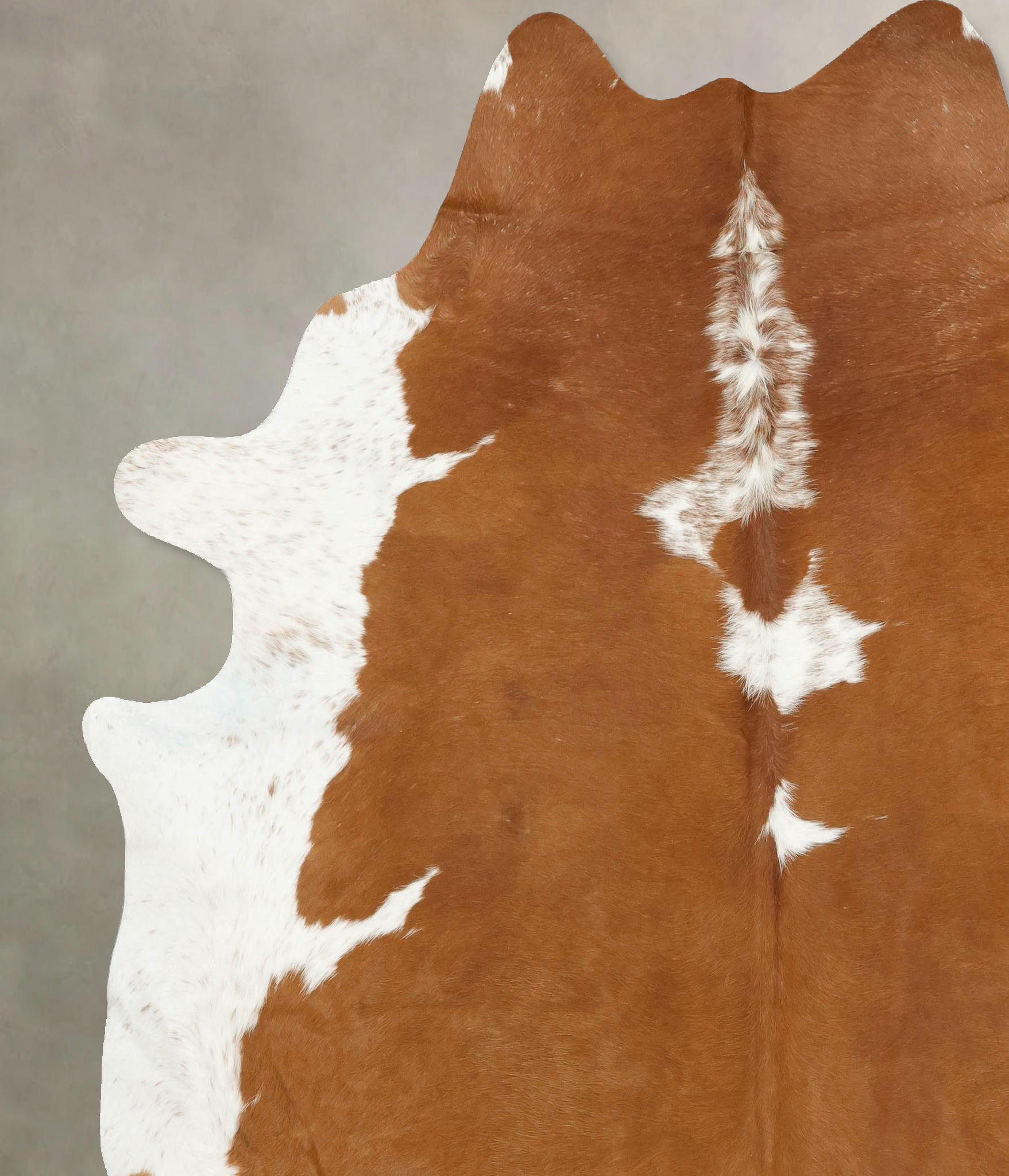 Brown and White Regular Cowhide Rug #B14300