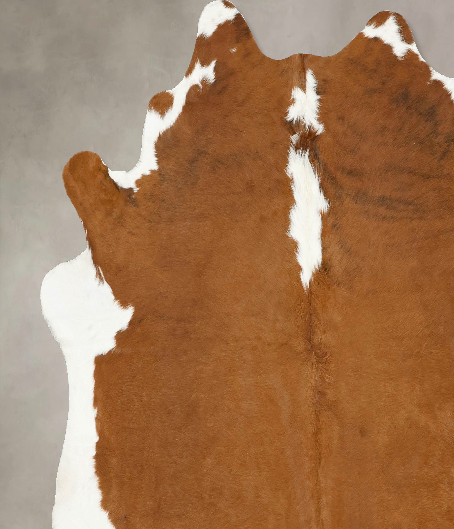 Brown and White Regular Cowhide Rug #B14306